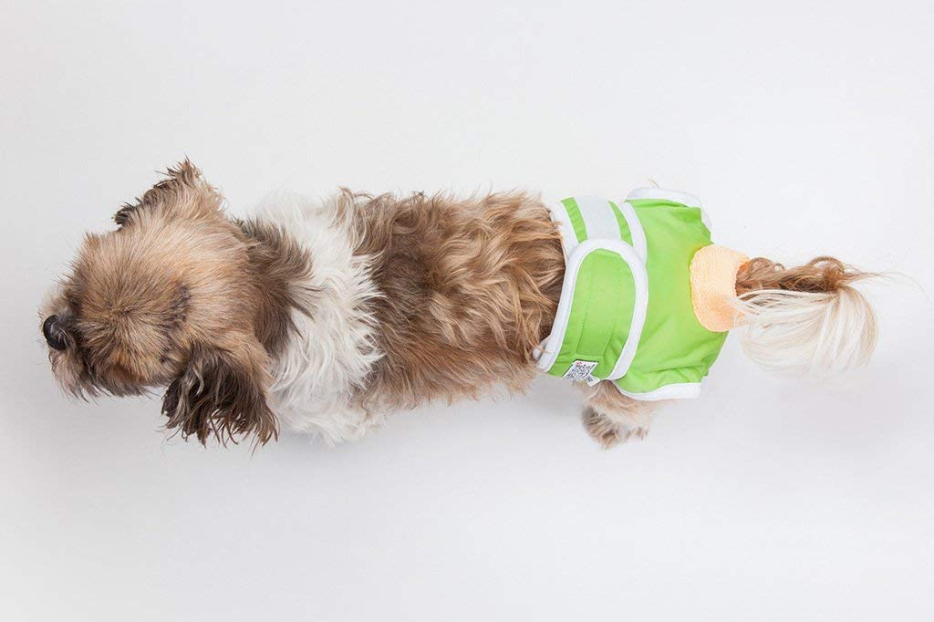 Washable Reusable Female Dog Diapers - Premium Absorbent Pet Panties for Small Dogs (XXS, Green) | Perfect for Incontinence, Heat Cycles & House Training