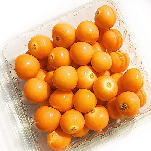 Fresh Golden Berries (3 Packs/15 oz) - Organic Cape Gooseberries for Smoothies, Snacks & Healthy Desserts - Perfect for Salads, Yogurt Toppings & Gift Baskets