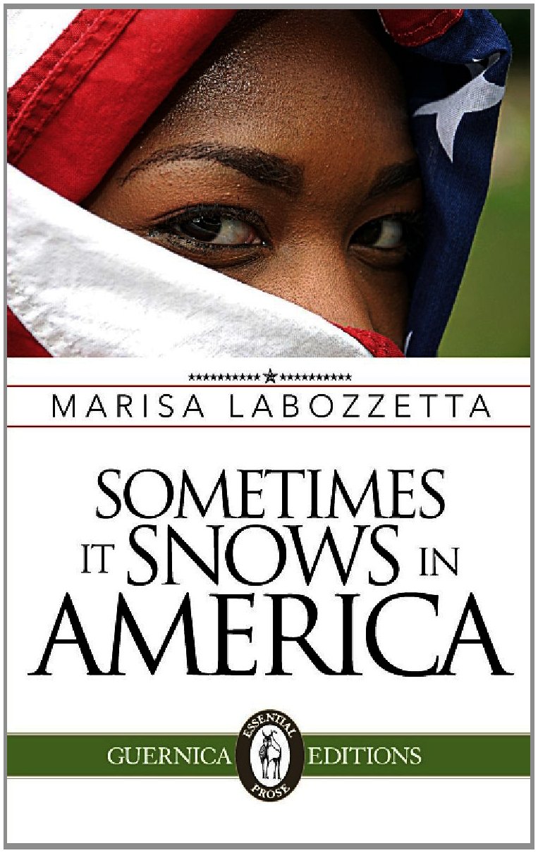 Sometimes It Snows in America - Essential Prose Series Book | Literary Fiction Novel for Book Clubs & Winter Reading