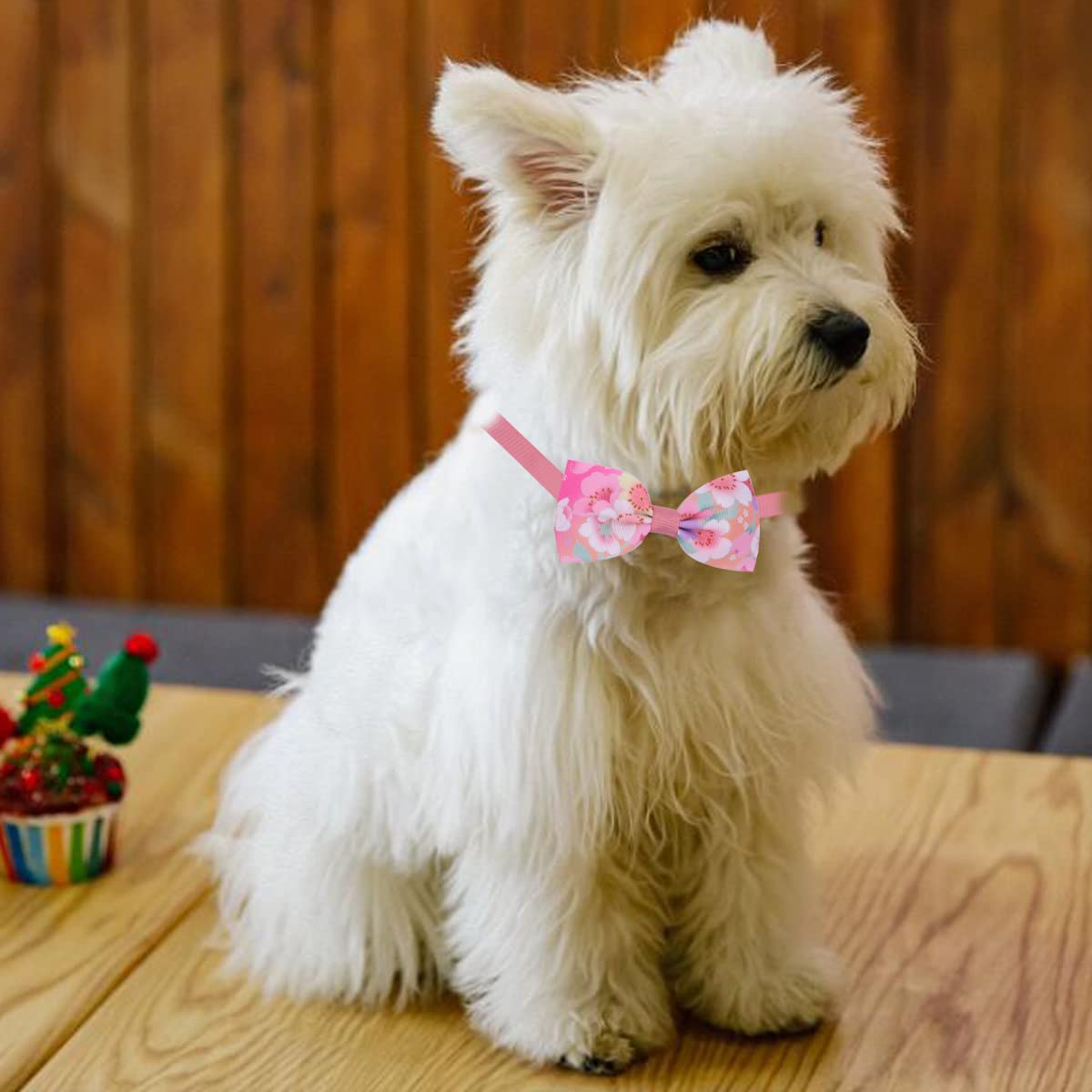 Wepetyo 24Pcs Adjustable Dog Bow Ties - Stylish Pet Collar Accessories for Puppies & Dogs (Mixed Colors) - Perfect for Weddings, Parties & Photo Shoots