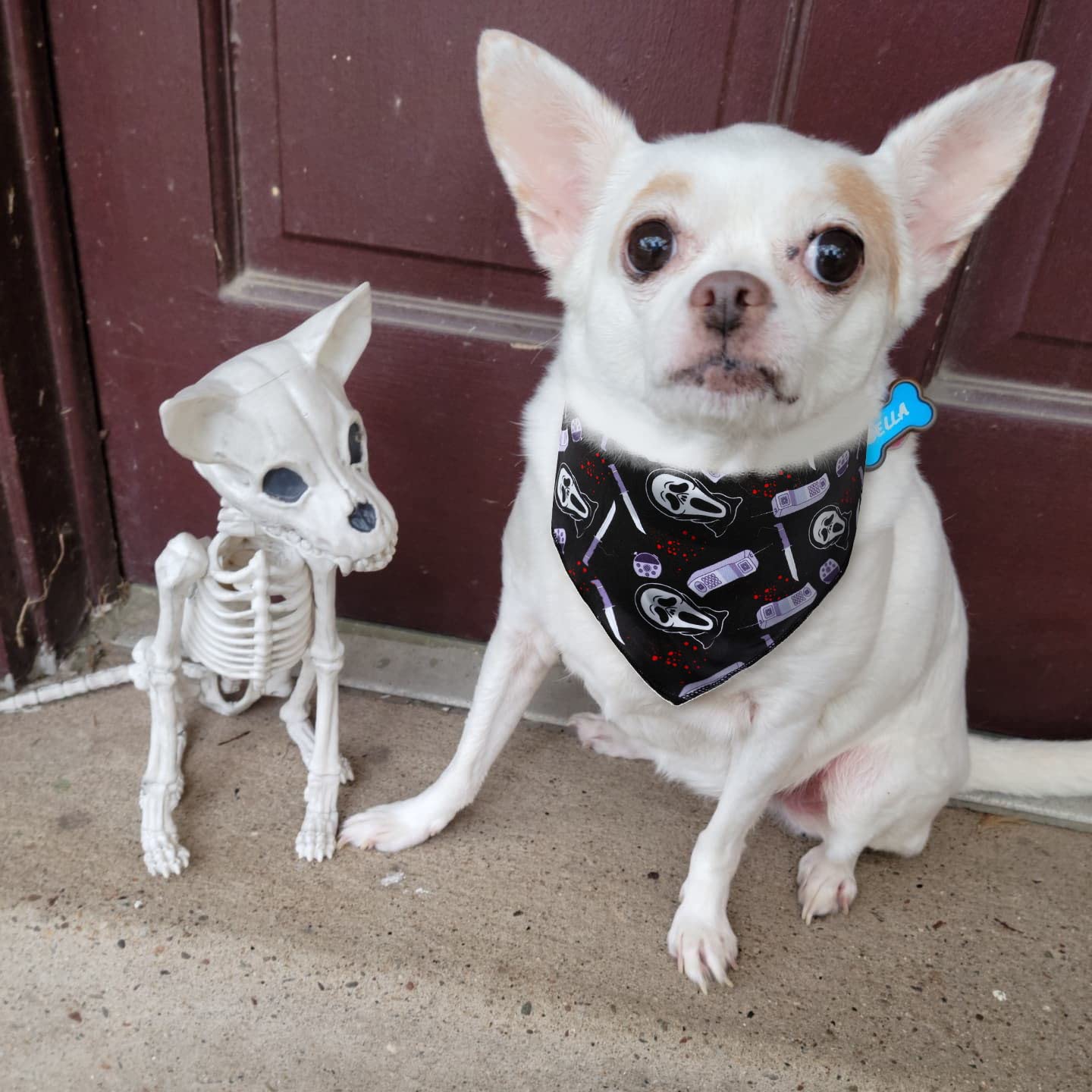 2 Pack Halloween Dog Bandanas - Cute Triangle Bib Scarves for Small, Medium & Large Dogs - Costume Accessories for Pets (Boy/Girl) - Perfect for Halloween Parties, Trick or Treat & Photo Shoots