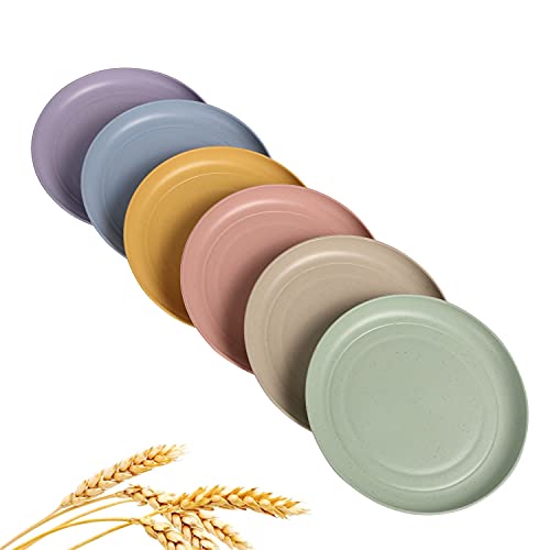 Small Multicolour