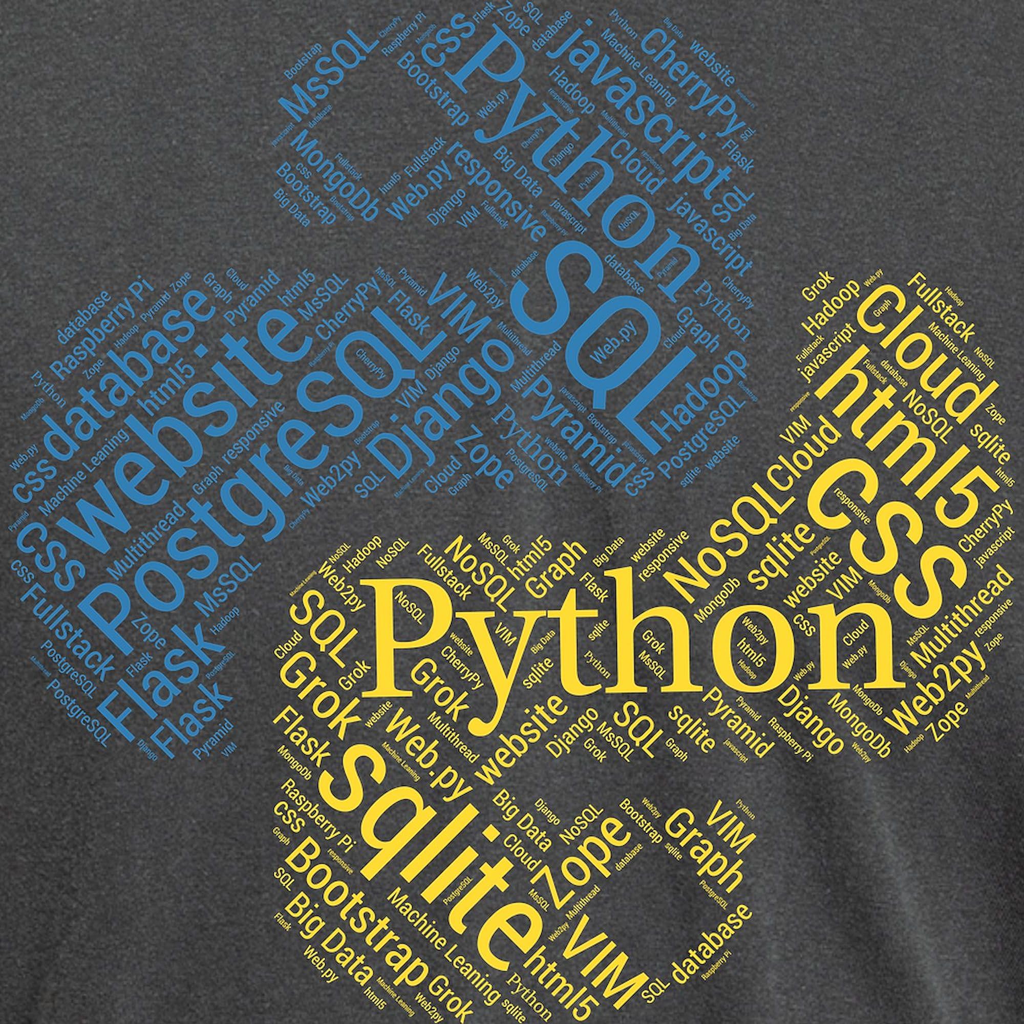 Python Programmer & Developer T-Shirt for Men - Comfort Colors® Soft Cotton Tee - Perfect for Coding, Tech Events & Casual Wear