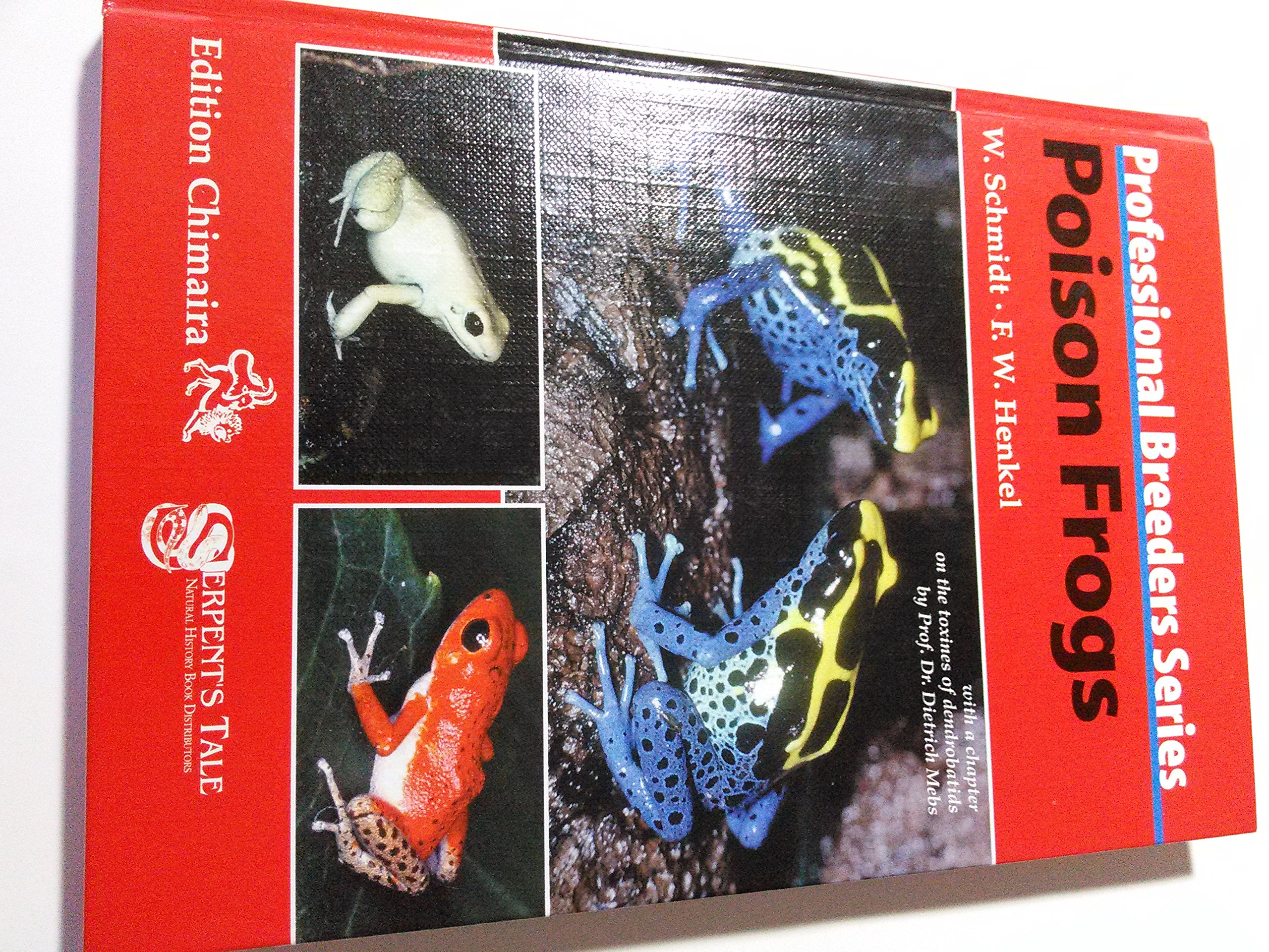 Poison Dart Frogs for Sale - Captive Bred by Professional Breeders | Perfect for Vivariums & Exotic Pet Enclosures