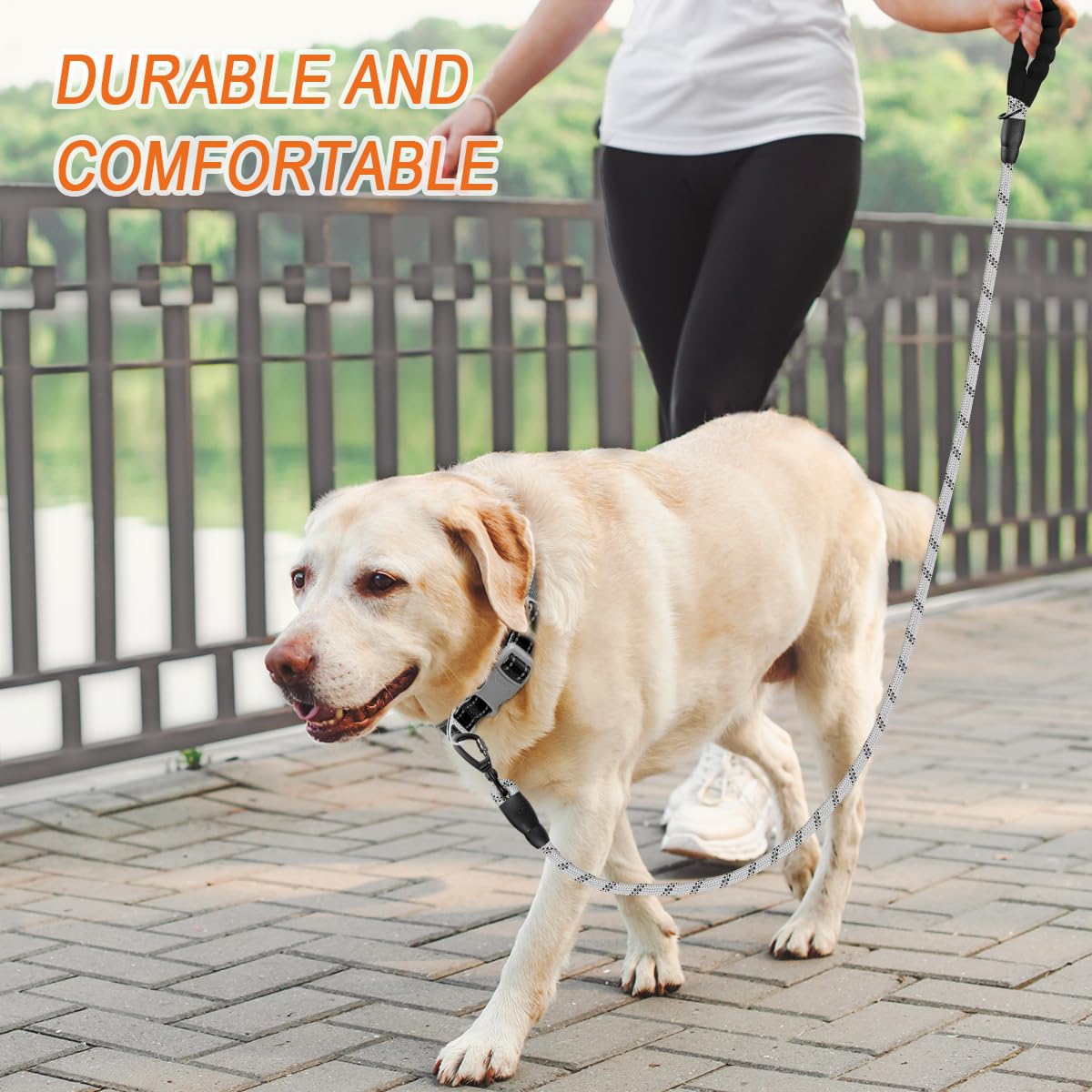 **BARKBAY Heavy Duty Dog Leash 2 Pack - 5FT Reflective Leashes with Padded Handle for Large & Medium Dogs - Walking, Training, Running - Durable & Comfortable (Gray + Black)**    *Perfect for Daily Walks, Jogging, or Outdoor Adventures with Your Pet!*