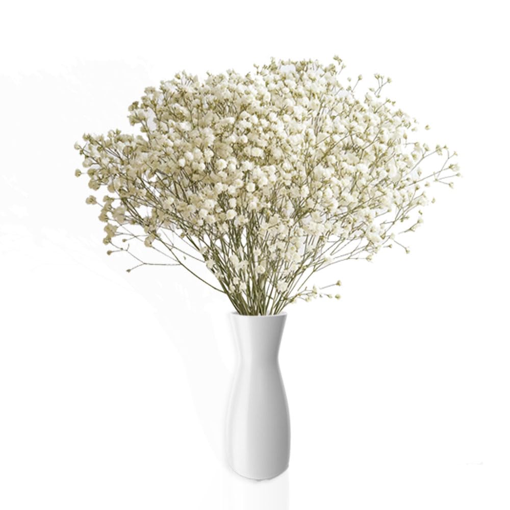 80 Stems Fresh Mixed Greens Flowers | Bulk Wedding Baby Shower Floral Decor | Perfect for Centerpieces, Bouquets, and Event Decorations