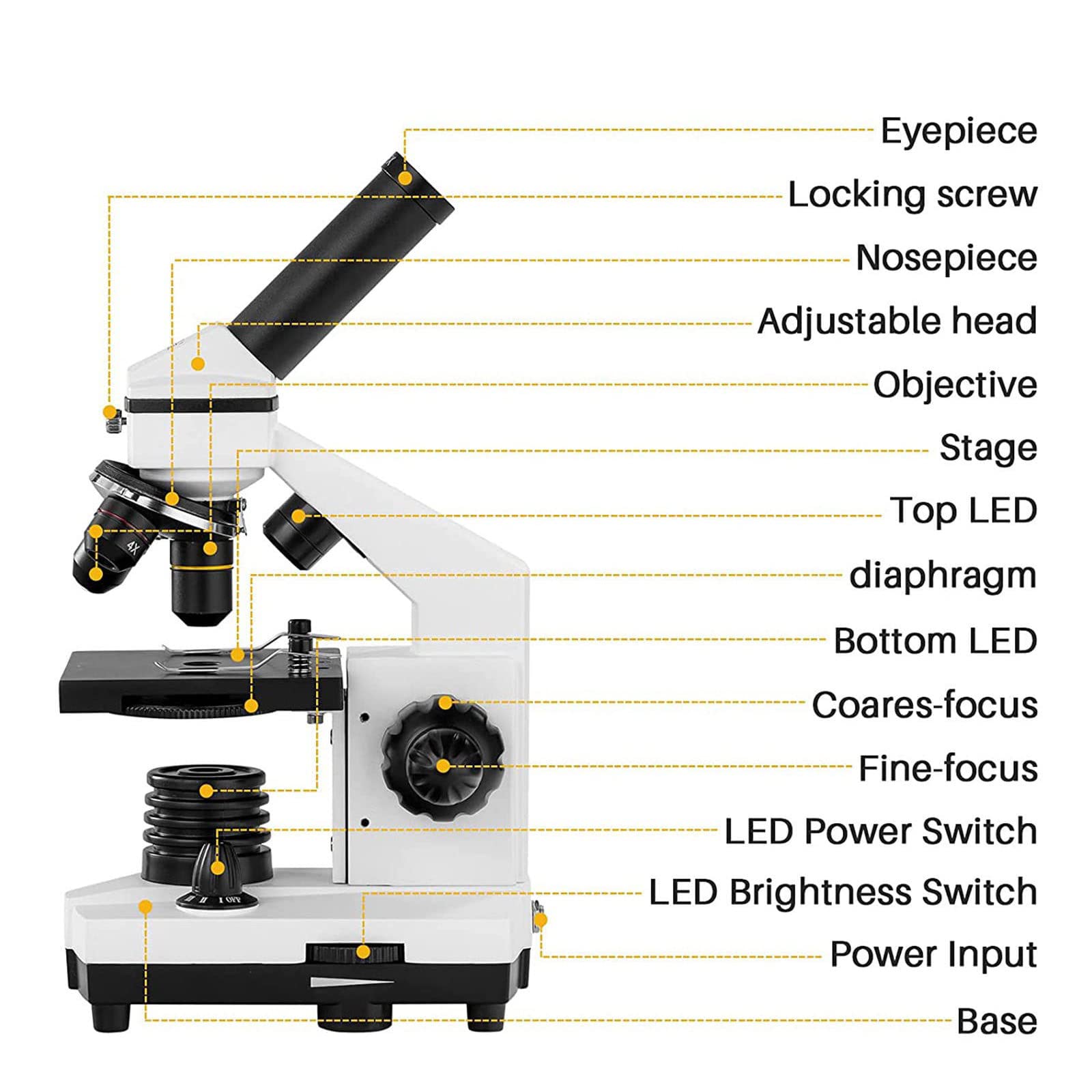 2000x Compound Microscope for Adults & Kids - Dual LED Illumination Microscope for Students, Home School & Laboratory Use - Science Education Microscope for Biology, Chemistry & Home Learning Experiments