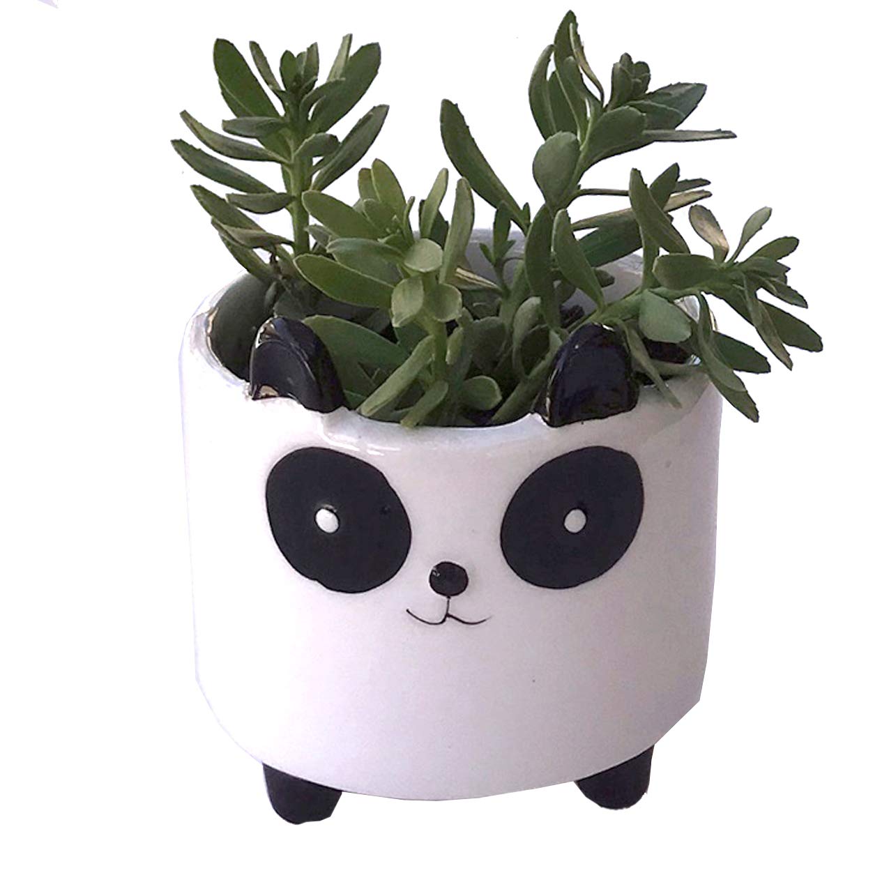 Ceramic Succulent Planter - Cute Panda Mini Indoor Plant Pot for Home, Office & Garden Decor | Perfect for Desk, Shelf & Windowsill Display