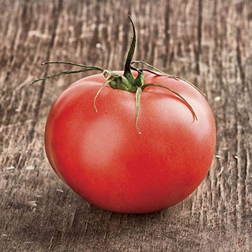 Beefmaster Hybrid Tomato Seeds - Non-GMO, Heirloom Variety (25+ Seeds) | Perfect for Home Vegetable Gardens, Fresh Salads & Healthy Eating | Seed King Express