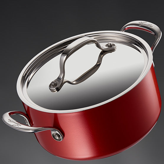 LAGOSTINA 10-Piece Rosella Stainless Steel Cookware Set - Blemished Packaging with Full Warranty (Model 11207600010) | Perfect for Home Cooking, Professional Kitchens & Gift Giving
