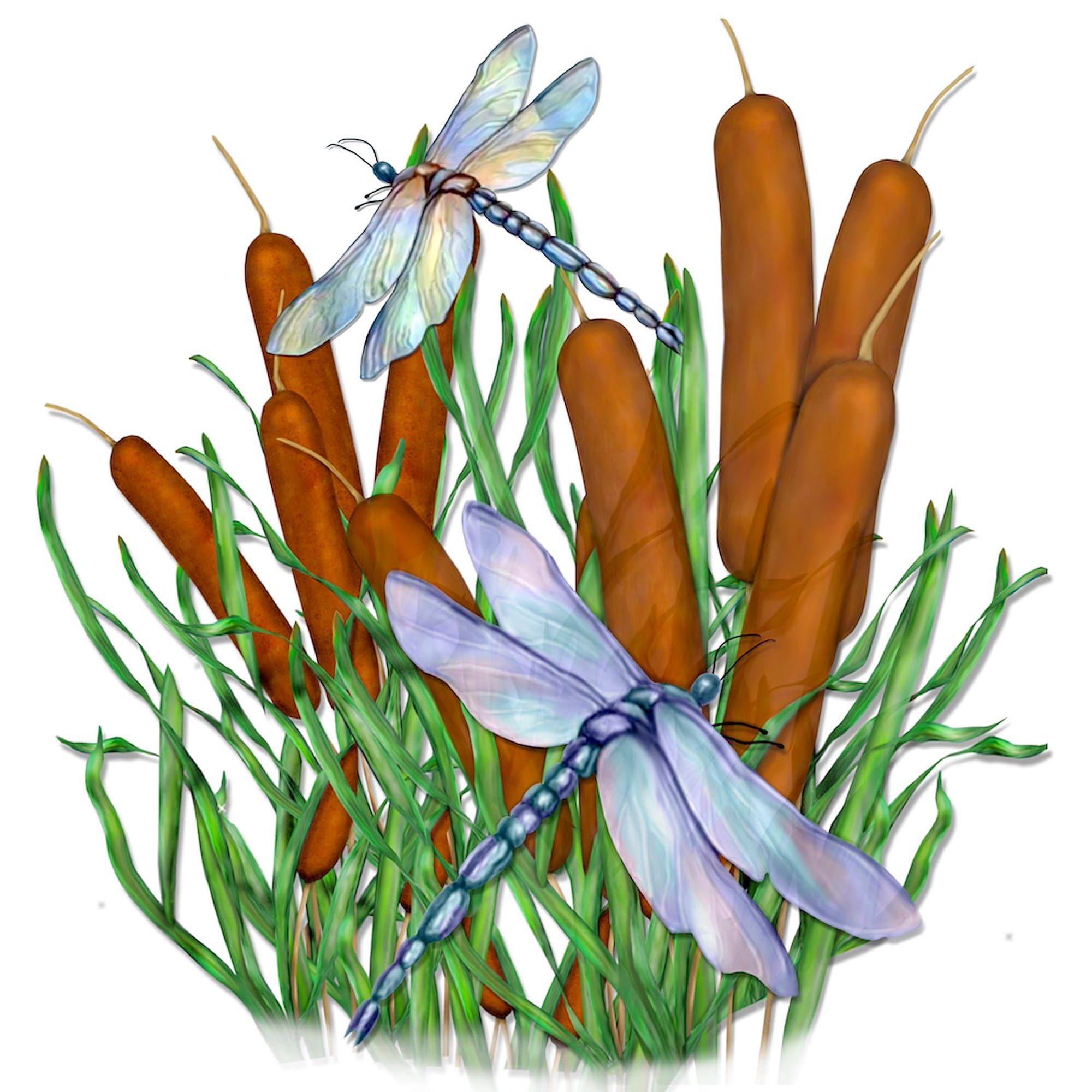 Dragonfly & Cattails Canvas Tote Bag - Eco-Friendly Reusable Shopping Bag for Groceries, Beach, Work & Daily Use