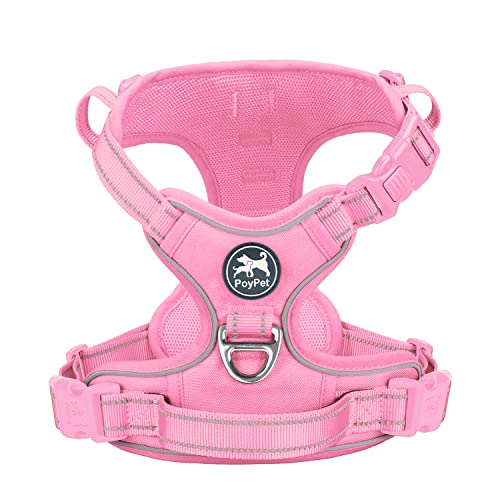 Light Pink(Matching Trim)