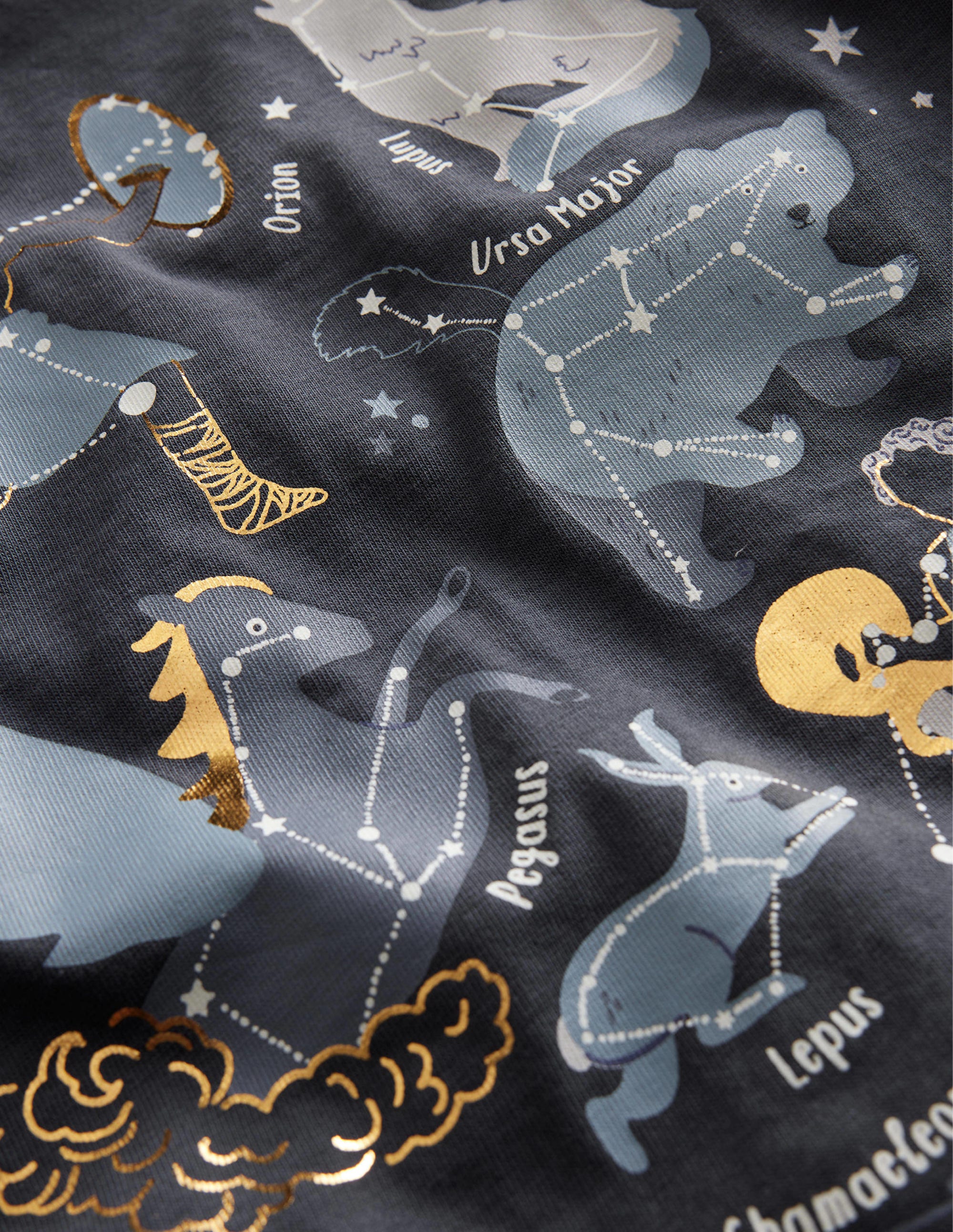 Astrology Printed T-Shirt - Charcoal Grey Cotton Graphic Tee for Men & Women | Perfect for Stargazing, Horoscope Enthusiasts & Casual Wear