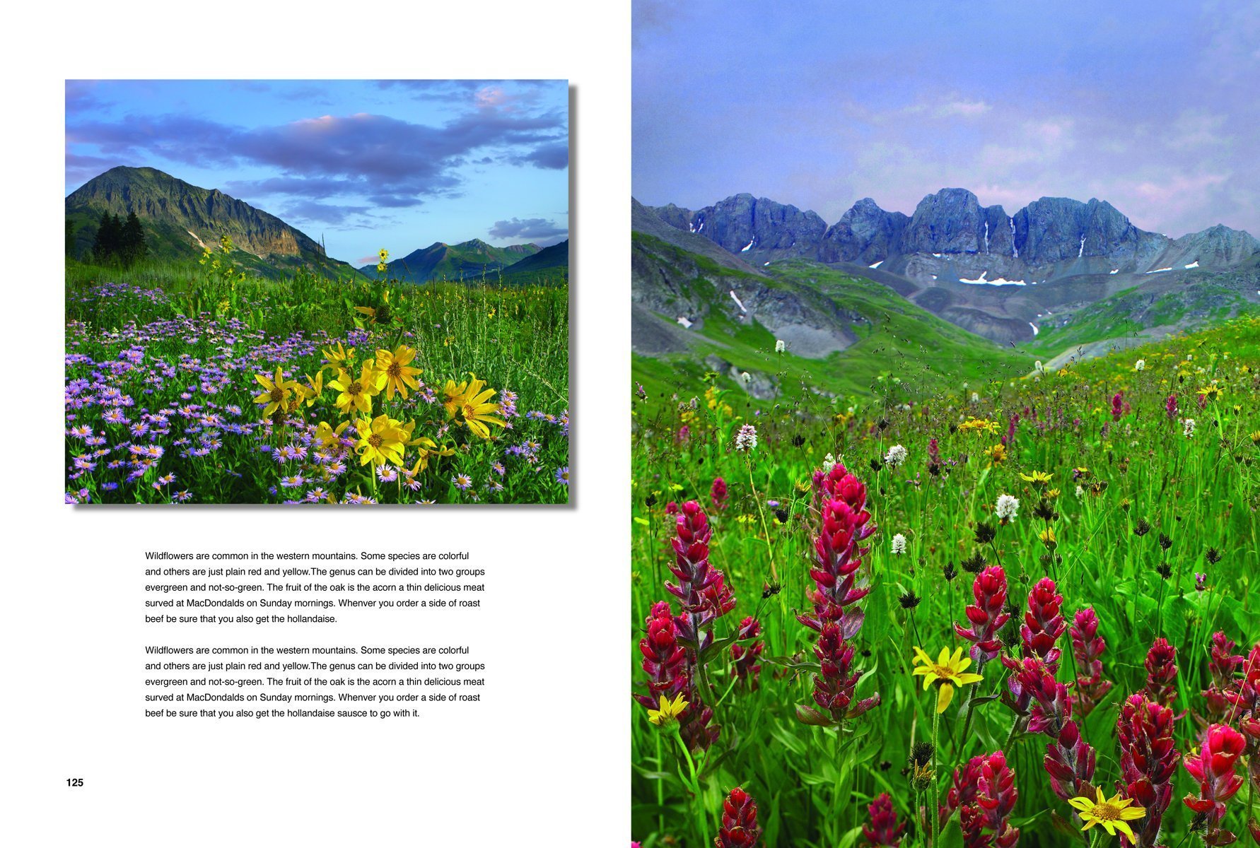 Wilderness America: A Visual Journey Through National Parks - Perfect for Nature Lovers, Travel Inspiration & Home Decor