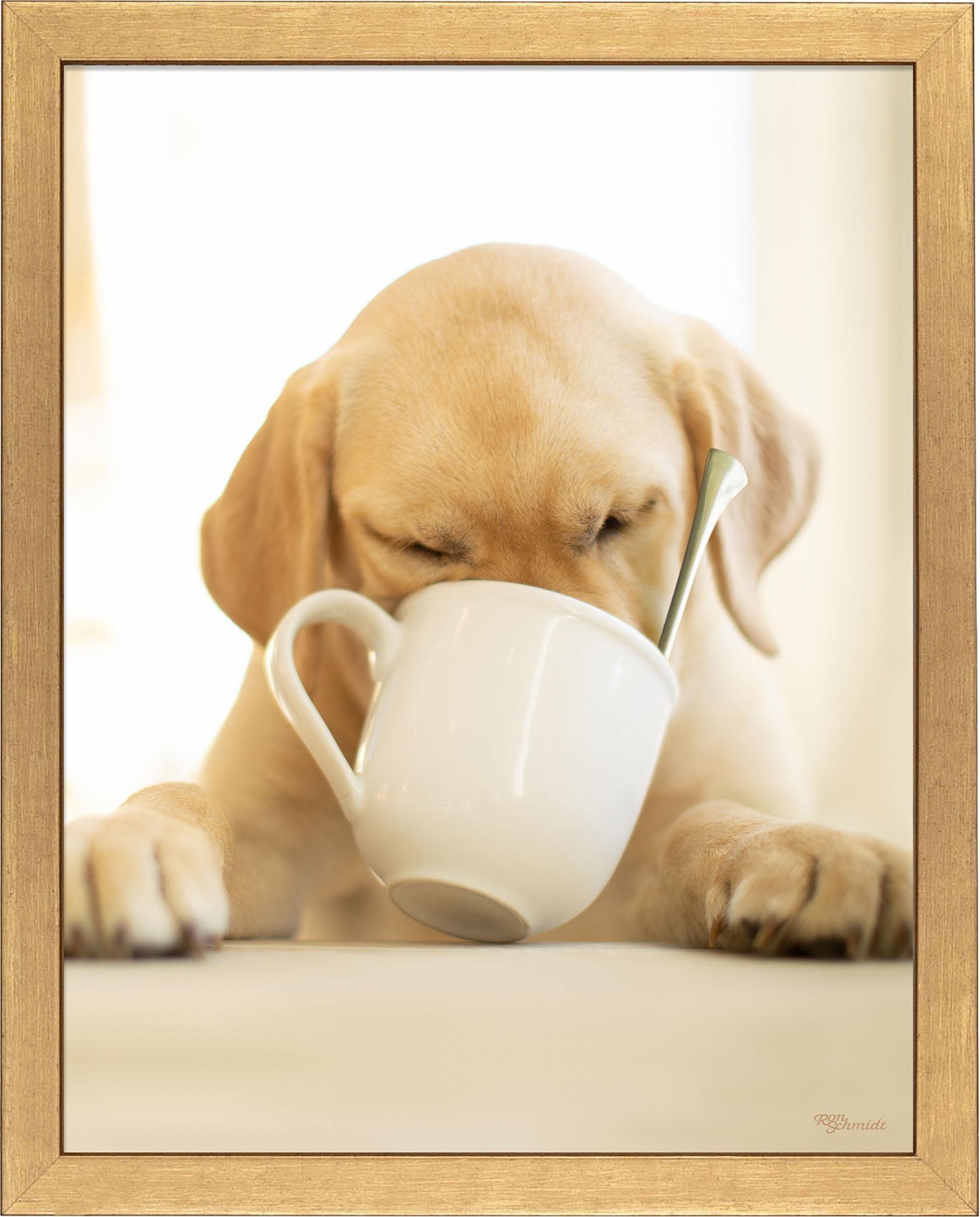 Premium Coffee Mug with Unique Art Prints - Perfect for Home, Office & Gifts | Ceramic Travel Mug for Coffee & Tea Lovers