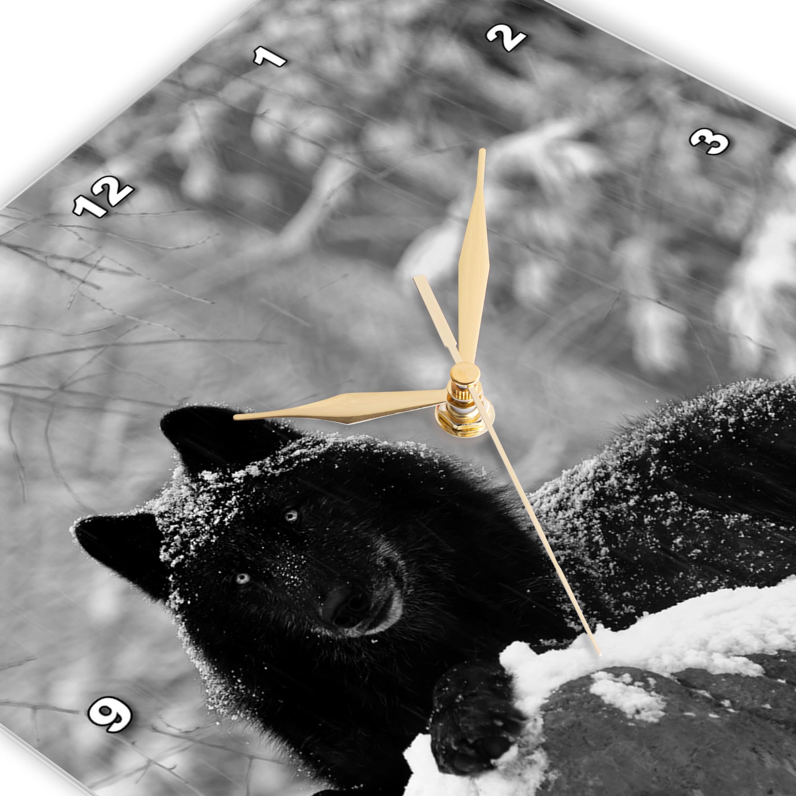 3D Rose 13 Inch Silent Wall Clock - Rocky Mountain Wolf Black White Animal Design - Perfect for Home, Office, and Wildlife Decor