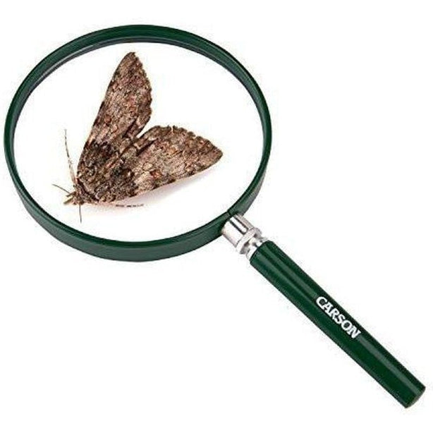 Carson BigEye 2.5x Handheld Magnifier with 5 Viewing Lenses - Perfect for Reading, Jewelry Inspection, Coin Collecting & Hobby Crafts