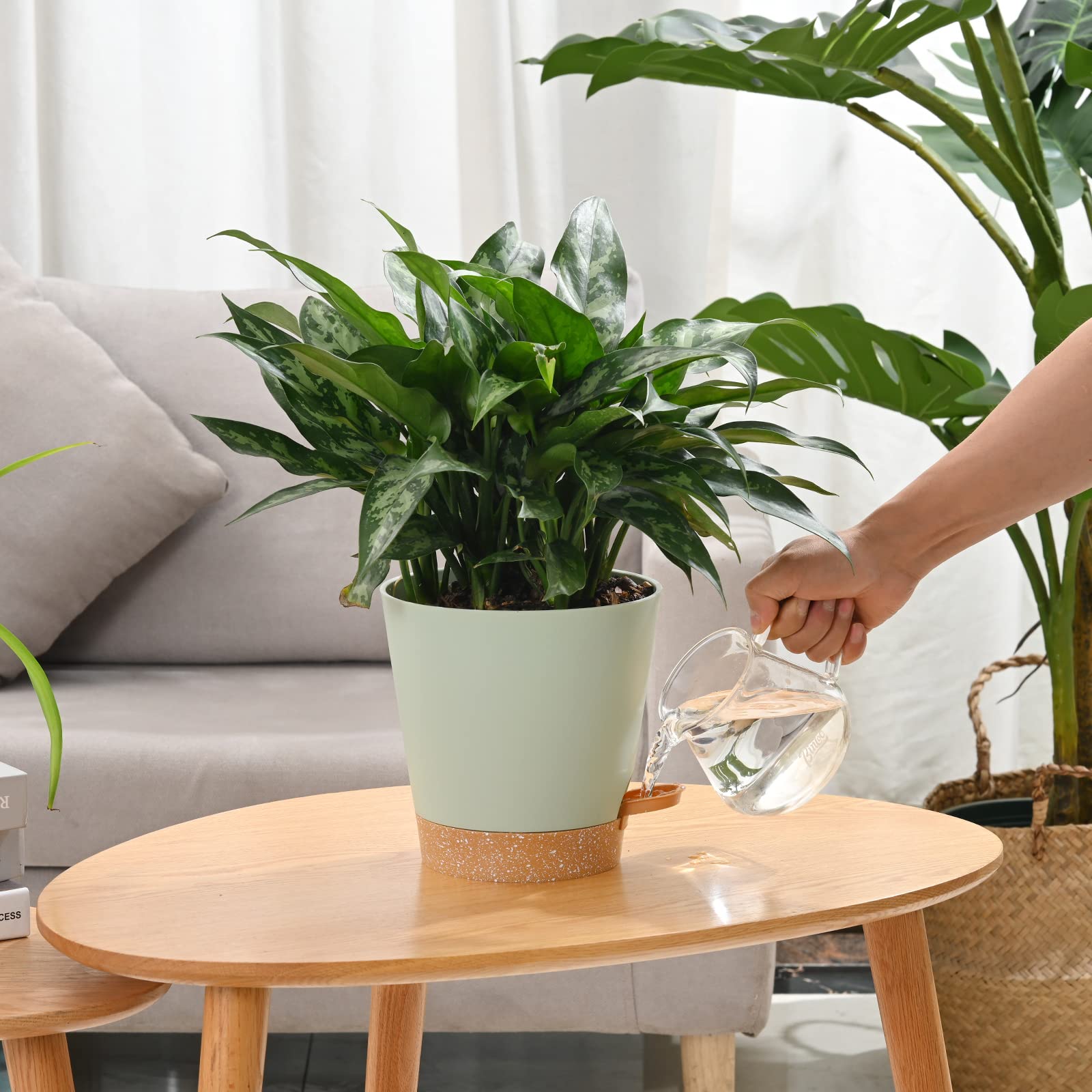 6-Pack 5 Inch Self-Watering Plant Pots with Drainage Holes - Indoor/Outdoor Flower Planters with Reservoir Tray & Watering Lip - Perfect for Home, Office, Balcony Gardening - Green Gardening Pots for Herbs, Succulents & Small Plants