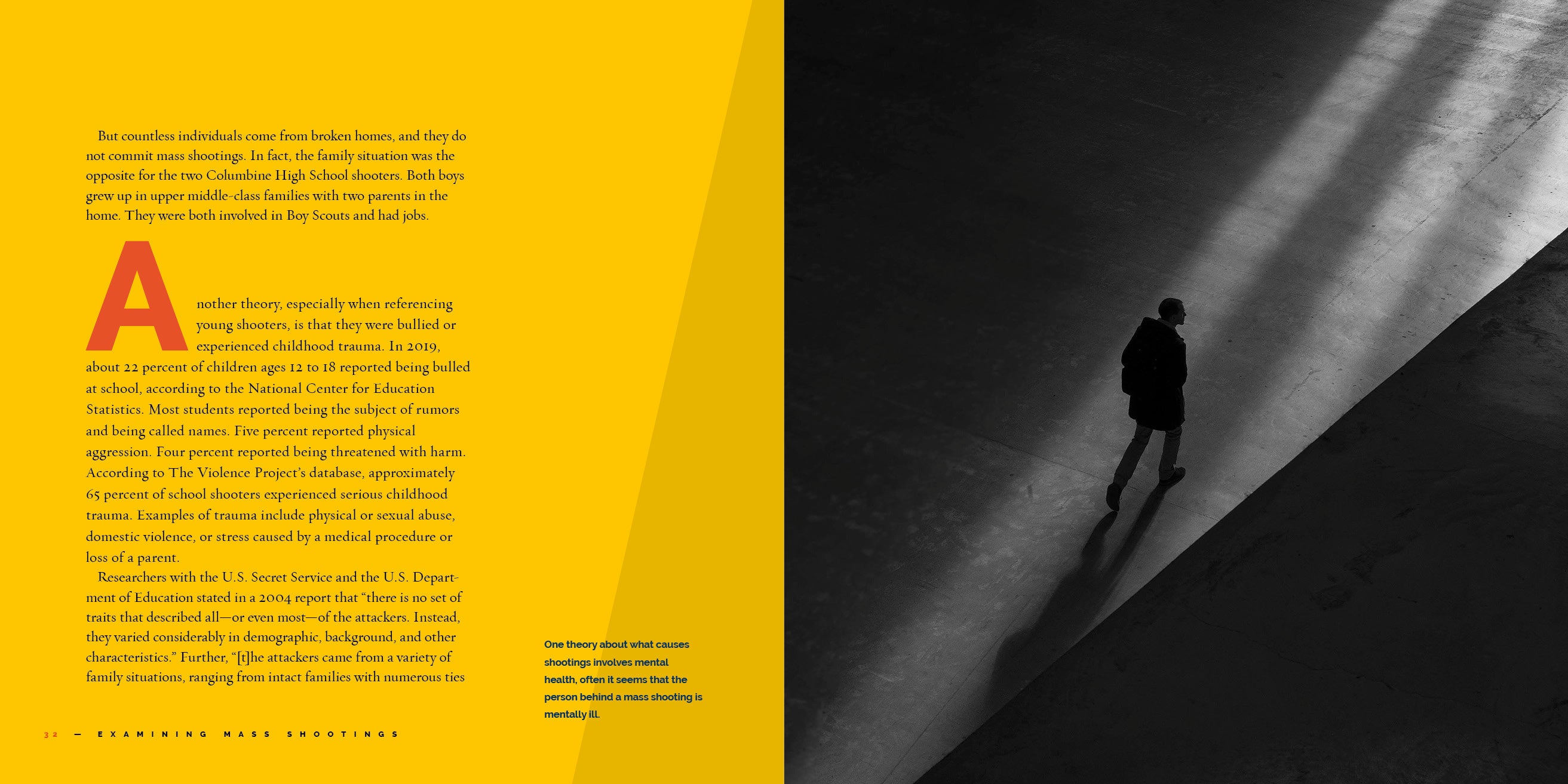 Examining Mass Shootings in the US - Causes, Statistics & Prevention Strategies | School Safety & Public Security Analysis