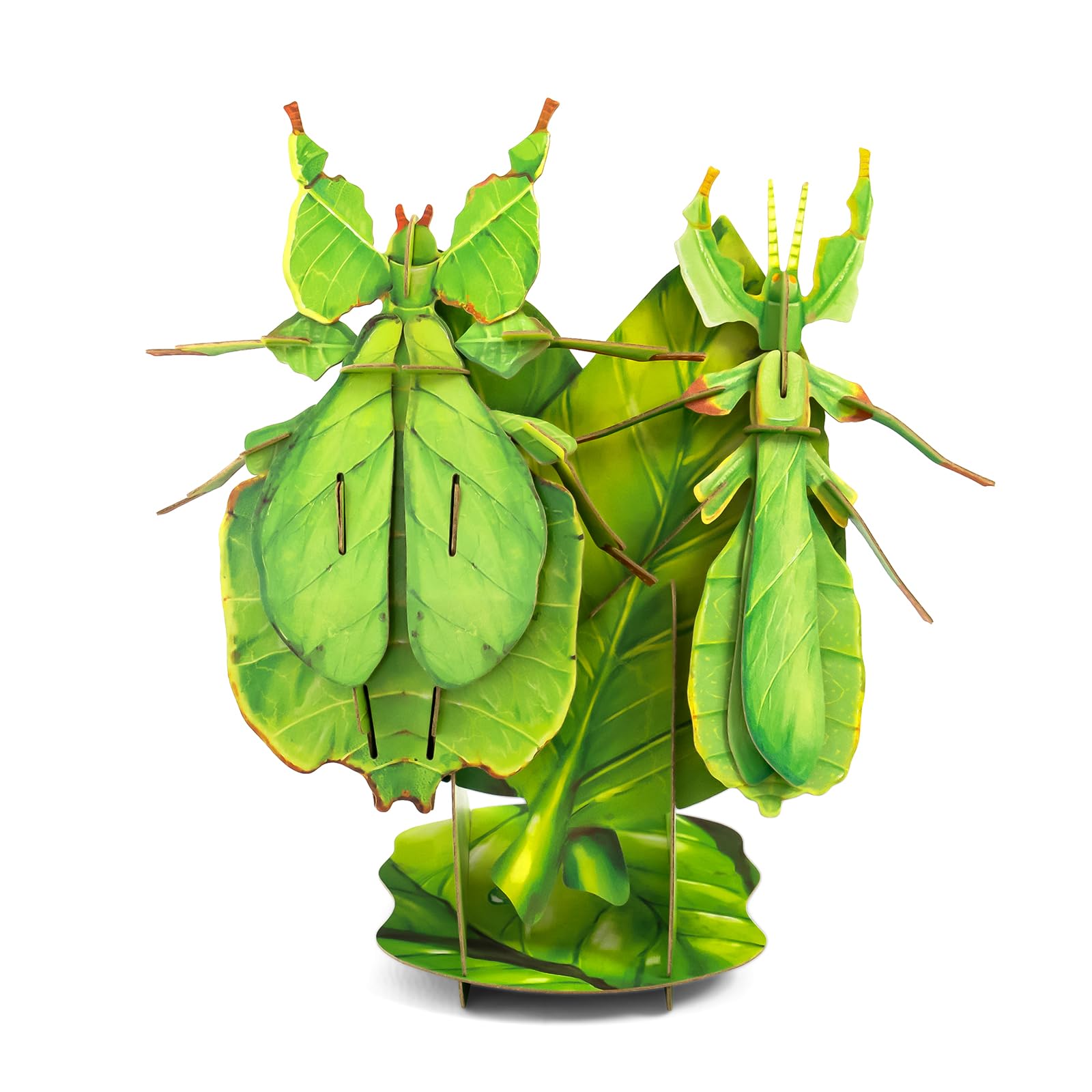 STEM Educational 3D Paper Puzzles for Kids Ages 7+ | Eco-Friendly DIY Construction Toys | Giant Asian Mantis & Phyllium Insect Models | Perfect for Birthday, Christmas Gifts & Homeschool Science Projects | Fun Classroom & Home Learning Activity