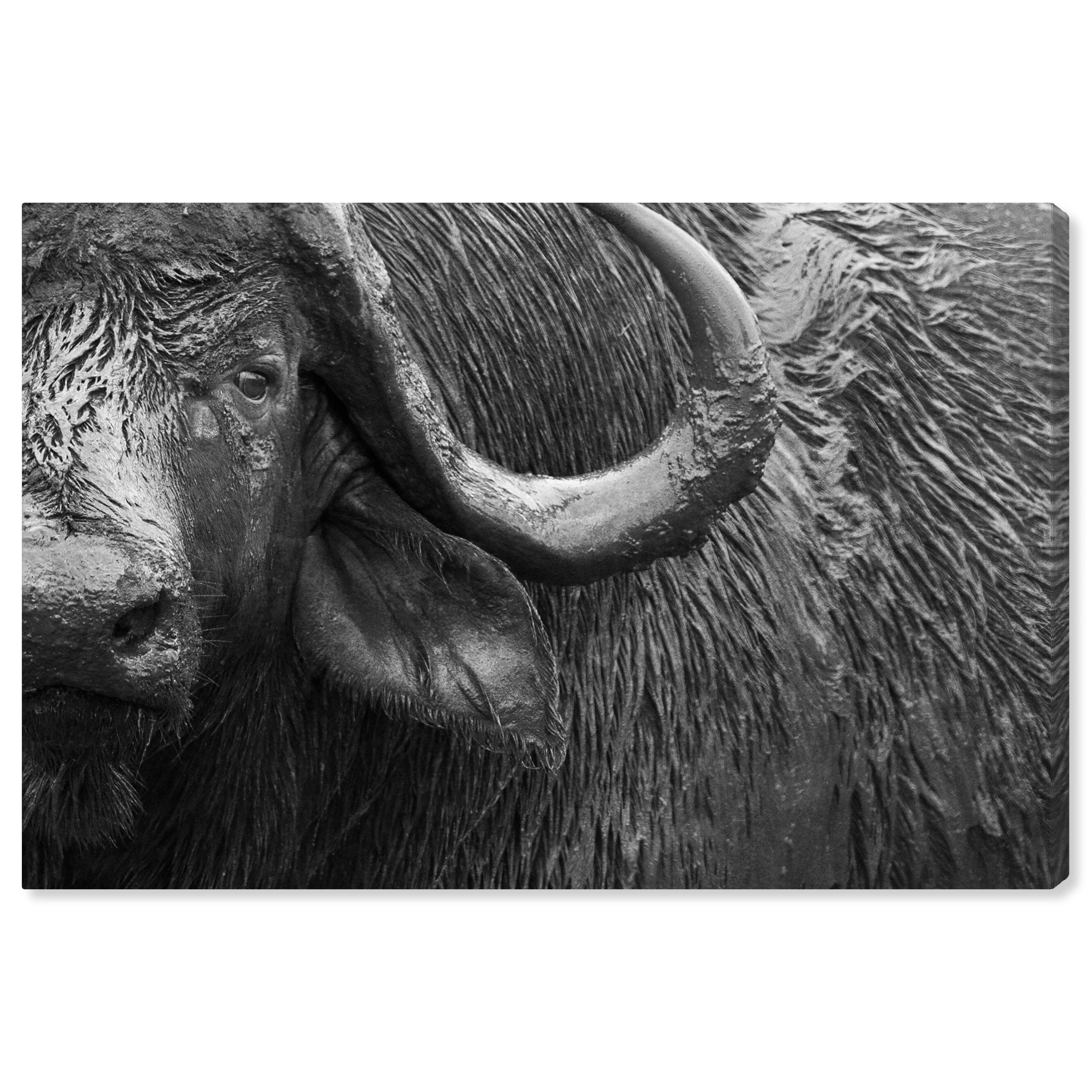 Be A Buffalo Wall Art Canvas Print - 54