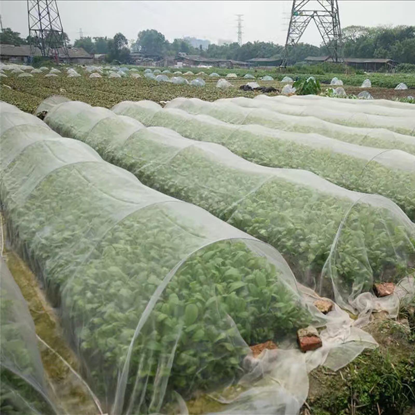 Rayuwen Garden Insect Protection Net - Durable Mesh Netting for Vegetables, Flowers & Crops - Bird Barrier & Greenhouse Row Covers - Perfect for Outdoor Gardening, Greenhouse & Backyard Farming
