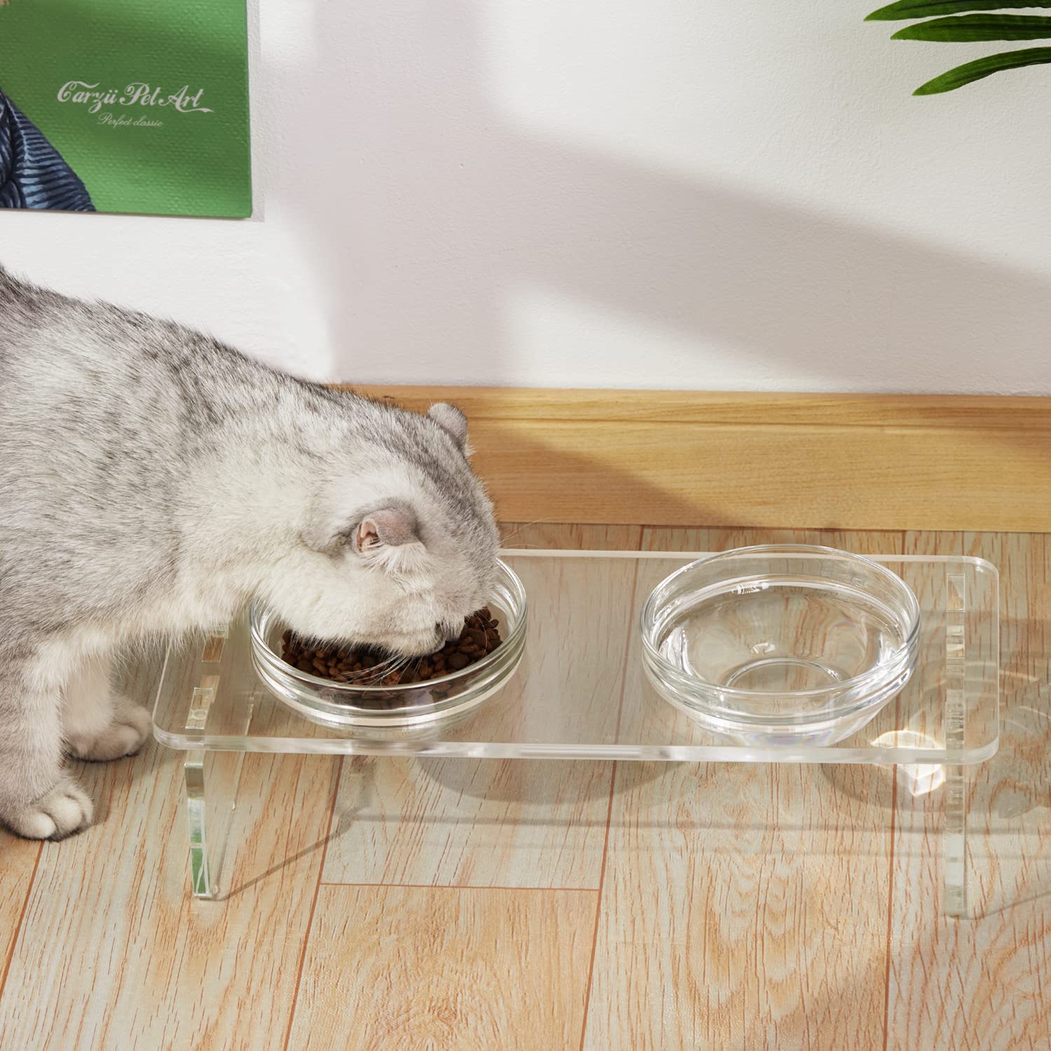 Feoyoho Feeder Replacement Glass Bowl - 13.7oz Pet Food & Water Dish - Dishwasher & Microwave Safe - Perfect for Small Pets, Birds, and Reptiles - Durable & Easy to Clean Feeding Accessory