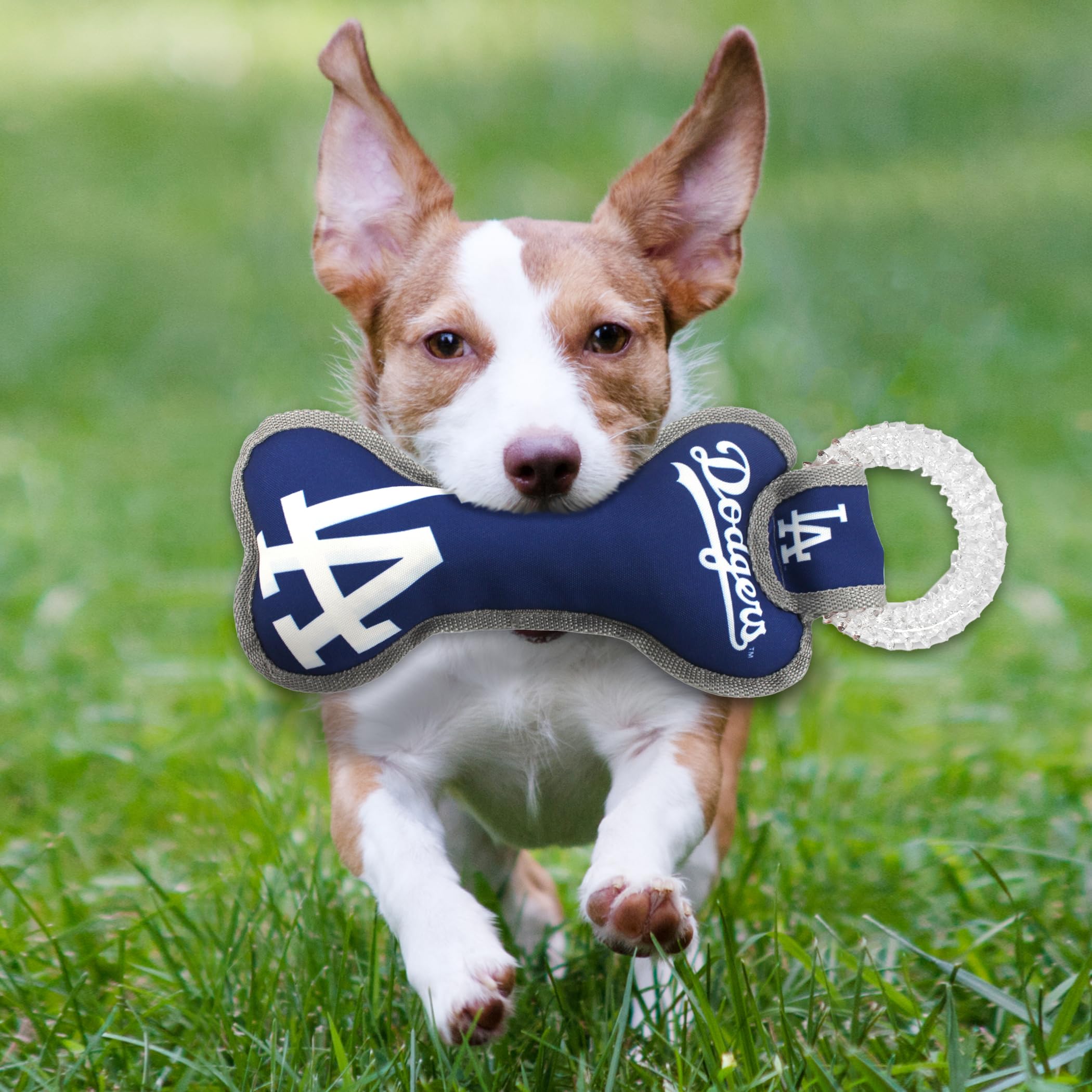 MLB Los Angeles Dodgers Bone-Shaped Dental Dog Tug Toy with Squeaker - Durable Chew Toy for Teething Puppies, Teeth Cleaning & Gum Health - Perfect for Playtime, Training & Interactive Fun with Your Pet