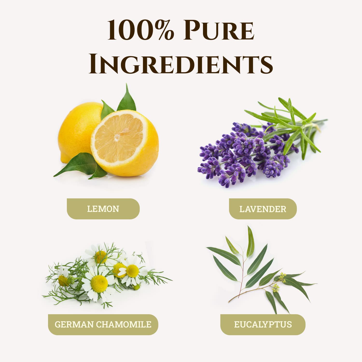 Ecodrop Allergy Relief Essential Oil Blend - 10ml | Pure Therapeutic Grade Aromatherapy with Lemon, Lavender, Chamomile & Eucalyptus | Natural Decongestant for Seasonal Allergies & Hay Fever | Perfect for Diffusers, Massage & Home Relaxation