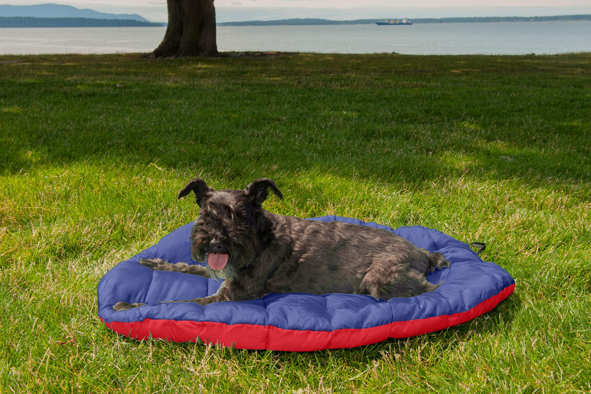 Furhaven Travel Dog Bed for Small Dogs - Washable, Foldable with Carry Bag - Perfect for Crates, Kennels & Outdoor Adventures