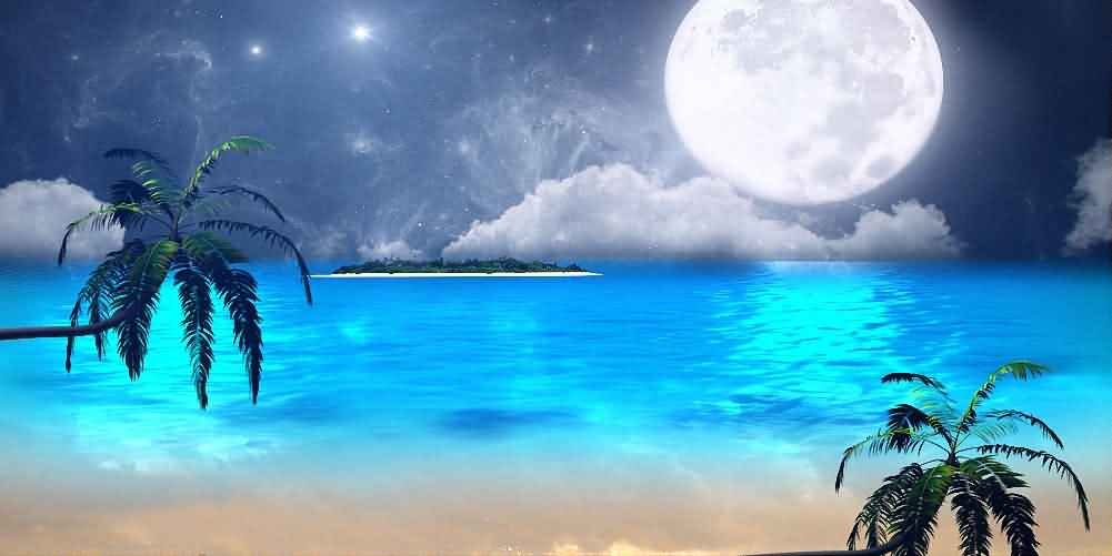 20' x 10' Tropical Beach Scenic Backdrop - High-Quality CP Printed Photography Background for Parties, Events & Photo Shoots | Perfect for Weddings, Baby Showers & Commercial Use | ACP-128