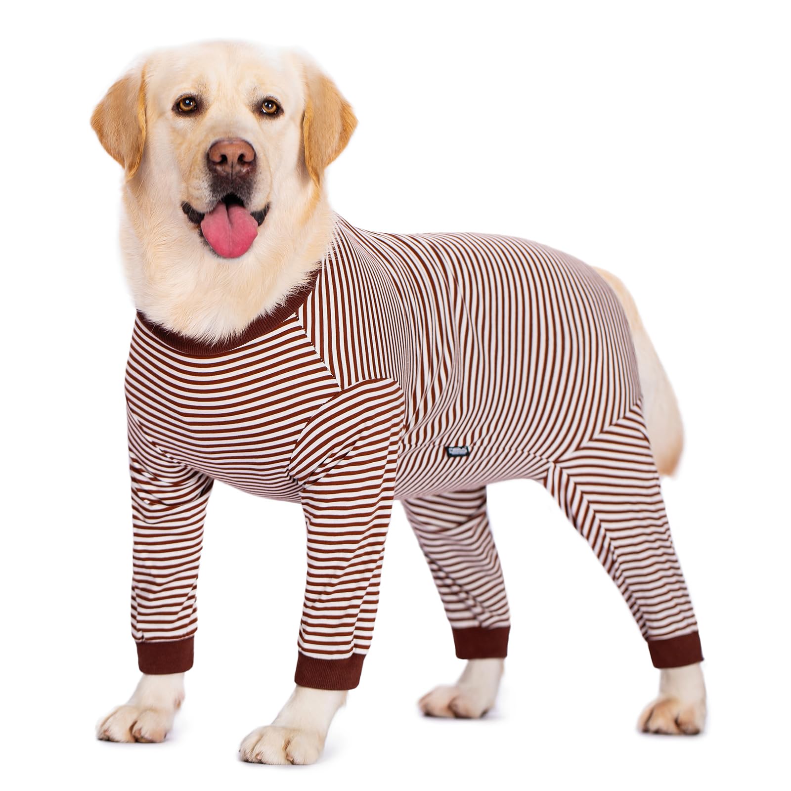 Post Surgery Dog Onesie with Zipper - Full Body Dog Recovery Suit for Large & Medium Dogs - Male/Female Dog Surgery Suit After Spay - Soft Dog Pajamas for Comfortable Healing - Perfect for Post-Op Care & Wound Protection