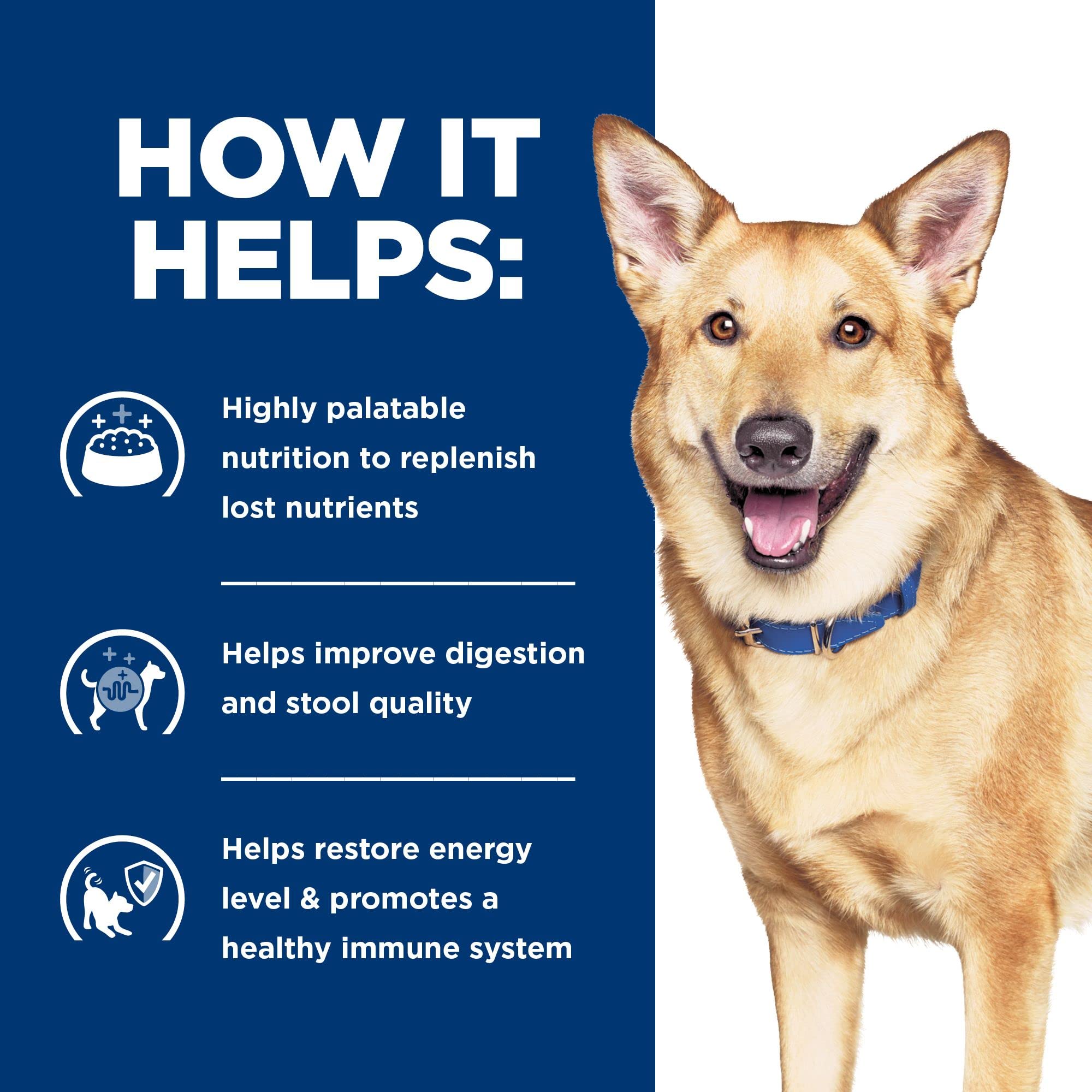 Hill's Prescription Diet i/d Digestive Care Chicken & Vegetable Stew Wet Dog Food - Vet Recommended for Sensitive Stomach, 12.5 oz Cans (Pack of 12) | Ideal for Dogs with Digestive Issues, Post-Surgery Recovery & Upset Stomach Relief