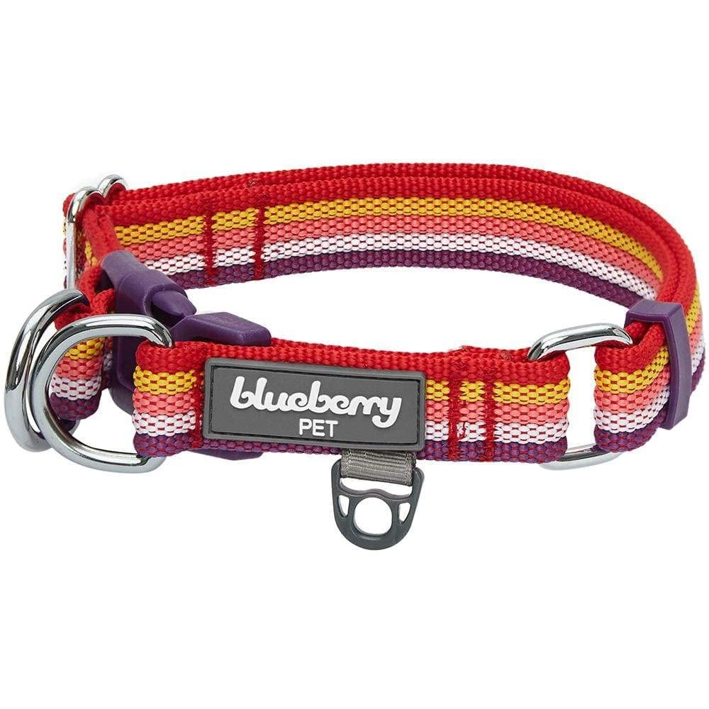 Blueberry Pet 3M Reflective Dog Collar - Adjustable Nylon Pet Collar with Rainbow Stripes for Large Dogs | High Visibility Safety Collar for Night Walks, Jogging & Outdoor Adventures