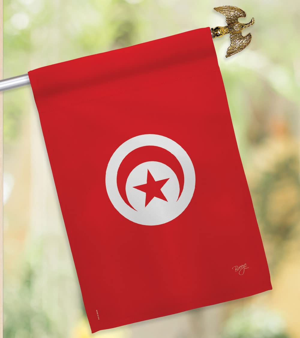 Tunisia National Flag Set 28