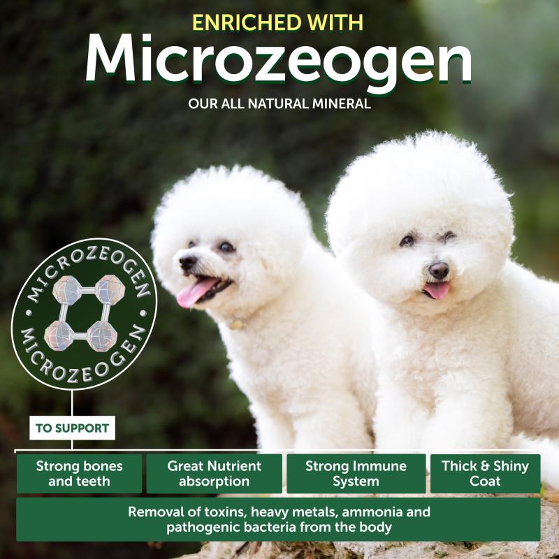 Natural Protein Dog Treats for Adult Dogs - Dental Chews with Insects for Oral Care - Perfect for Training, Rewards & Teeth Cleaning