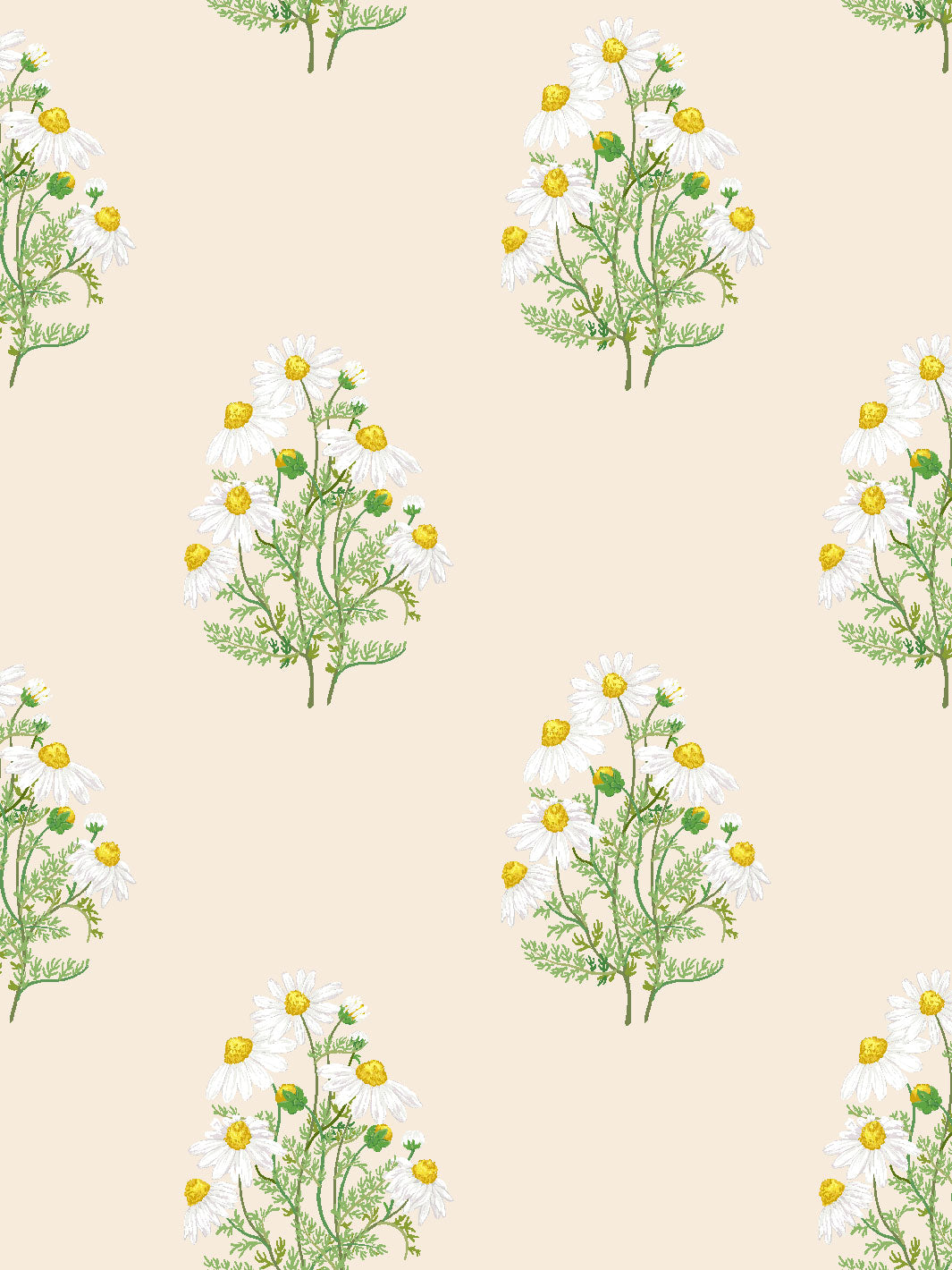 Sarah Jessica Parker 'Fleur De Camomille' Pearl Wallpaper - Elegant Floral Peel & Stick Wallpaper for Bedroom, Living Room, Nursery Decor