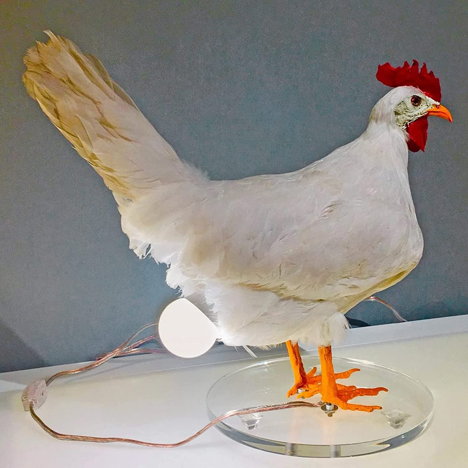 ZZHFC Taxidermy Chicken Egg Lamp - Unique Decorative Egg Light for Home, Bedroom, Nursery | Funny Novelty Art Lamp for Chicken Lovers & Farmhouse Decor