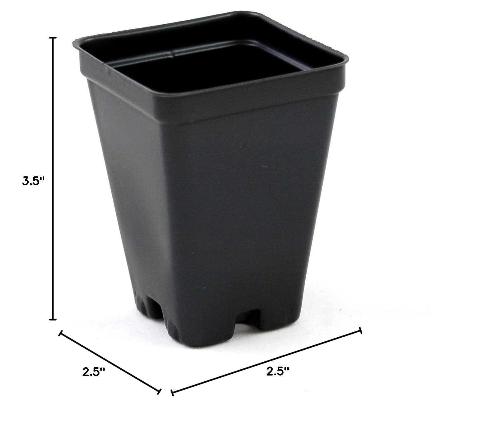 2.5 Inch Black Square Plastic Greenhouse Pots - Deep Design - Case of 800 - Ideal for Seedlings, Herbs & Indoor Gardening