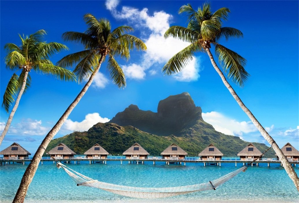 6x4ft Beach Palms with Hammock Photography Backdrop - Tropical Island Ocean Seaside Vacation Background for Summer Holiday Photo Studio, Portrait & Wallpaper - Perfect for Beach Parties, Travel Agency Ads, and Social Media Content
