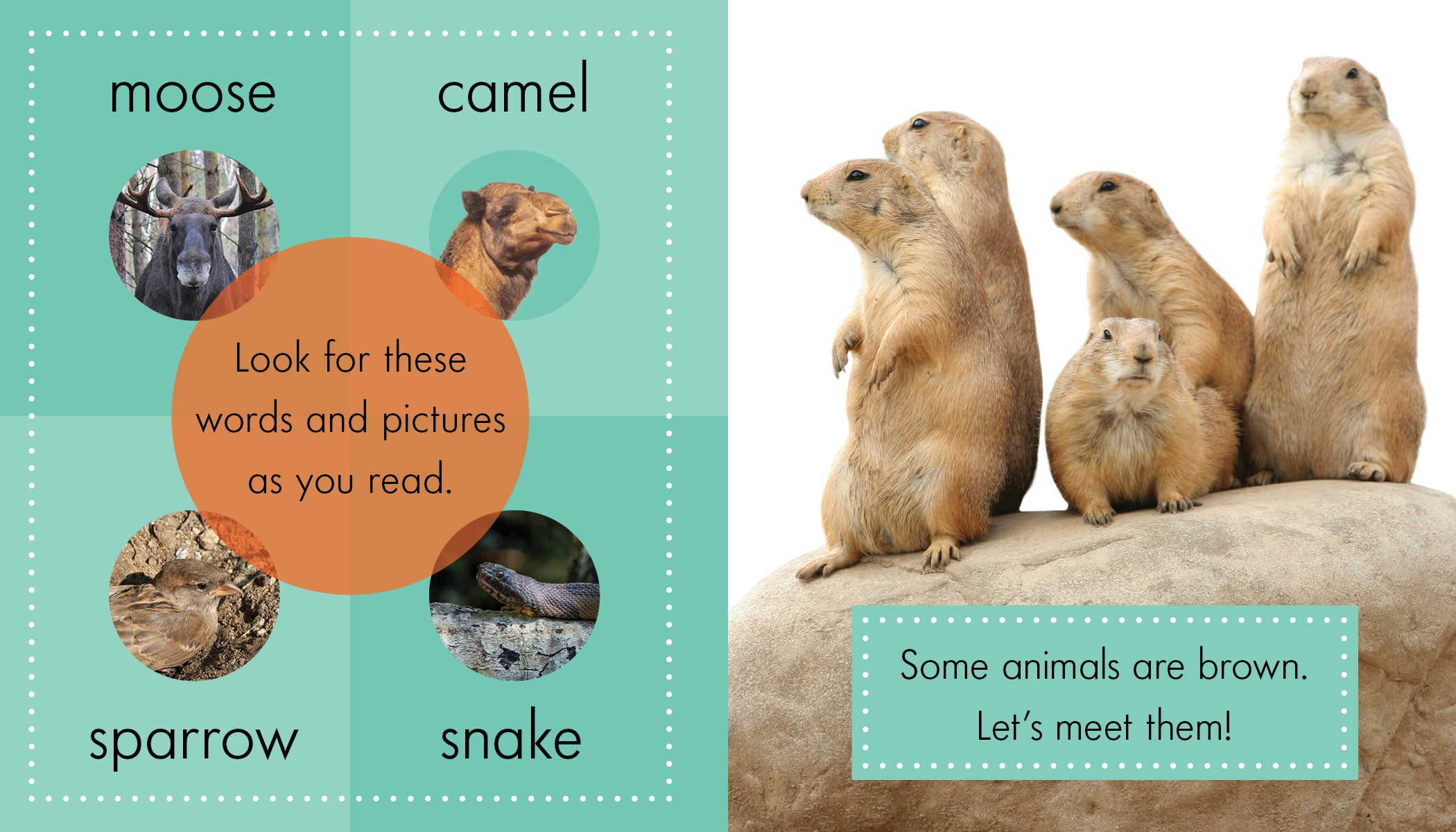 Brown Stuffed Animals - Soft Plush Teddy Bears & Cute Animal Toys for Kids | Perfect for Gifts, Nursery Decor & Cuddling
