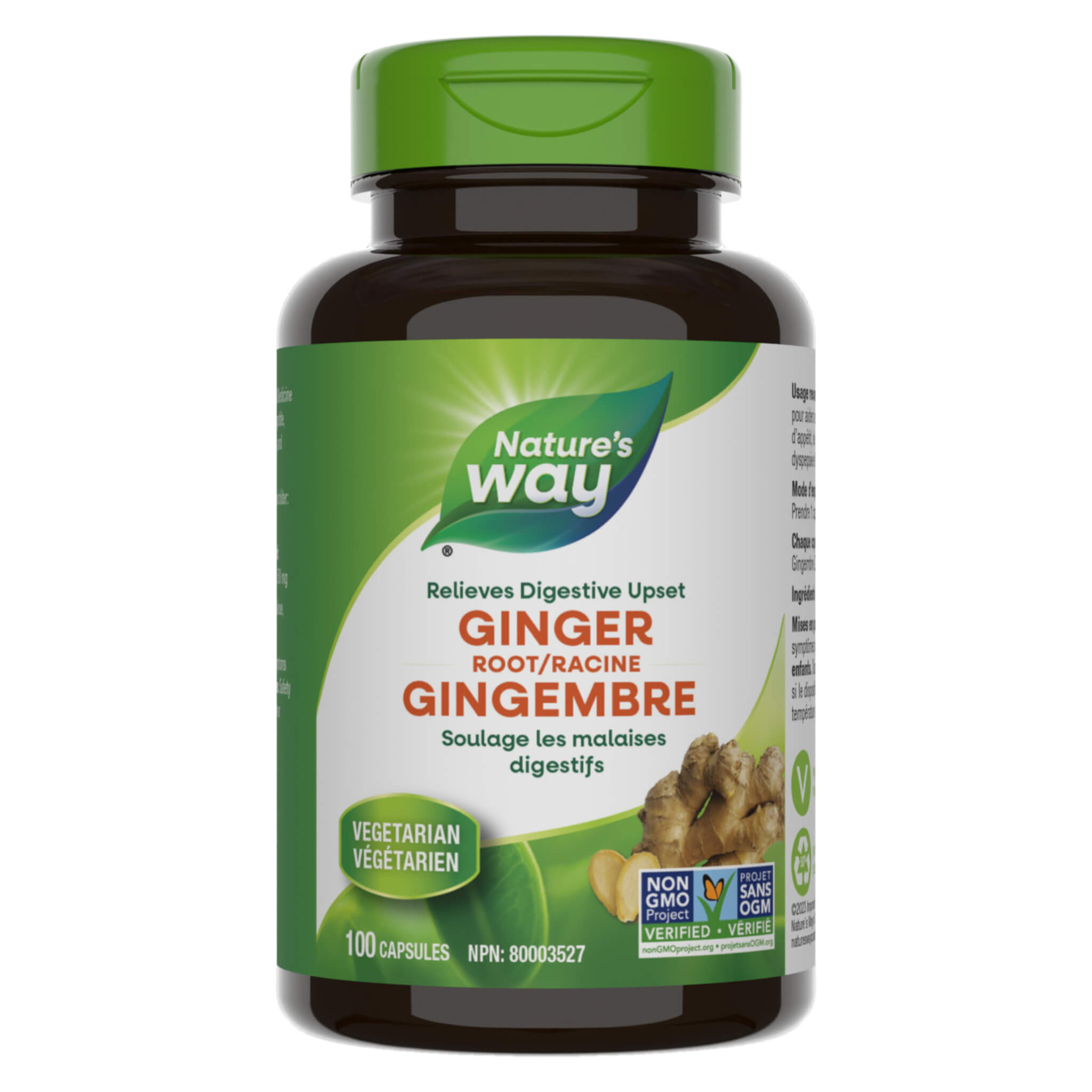 Fresh Organic Ginger Root for Cooking, Tea & Wellness - Natural Immune Booster & Digestive Aid - Perfect for Asian Cuisine, Smoothies & Home Remedies