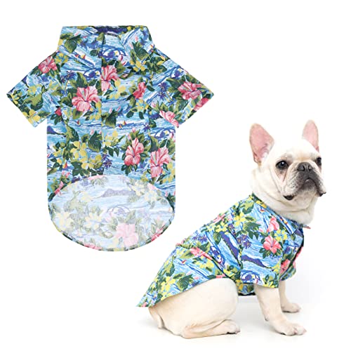 Hawaiian