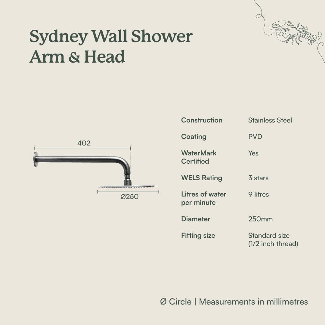 Wall Mount Shower Arm and Head Set - 250mm Gunmetal Finish for Bathroom & Spa | Perfect for Modern and Luxury Showers