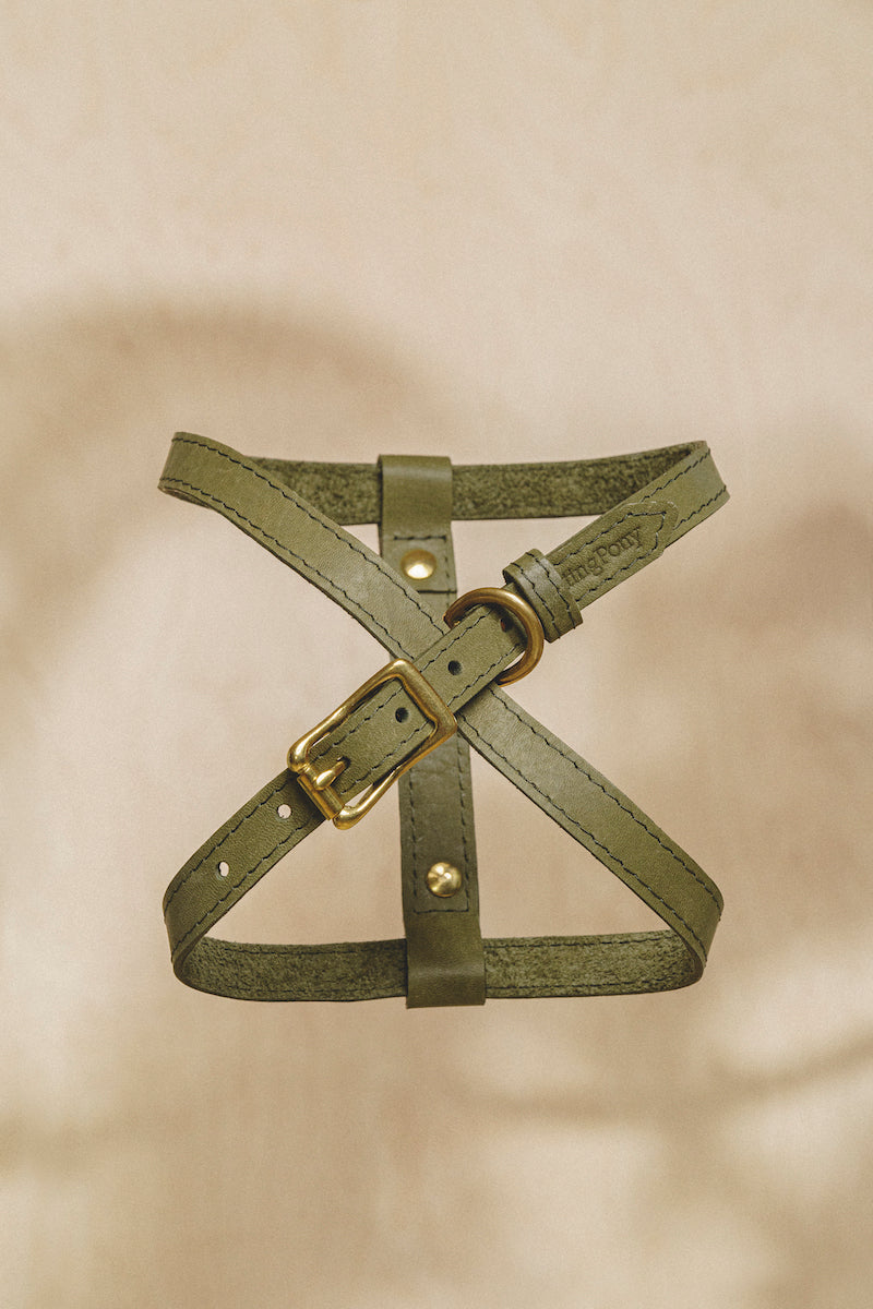 Premium Genuine Leather Dog Harness for Small to Medium Dogs - Adjustable & Durable Pet Walking Gear - Perfect for Daily Walks, Hiking & Outdoor Adventures