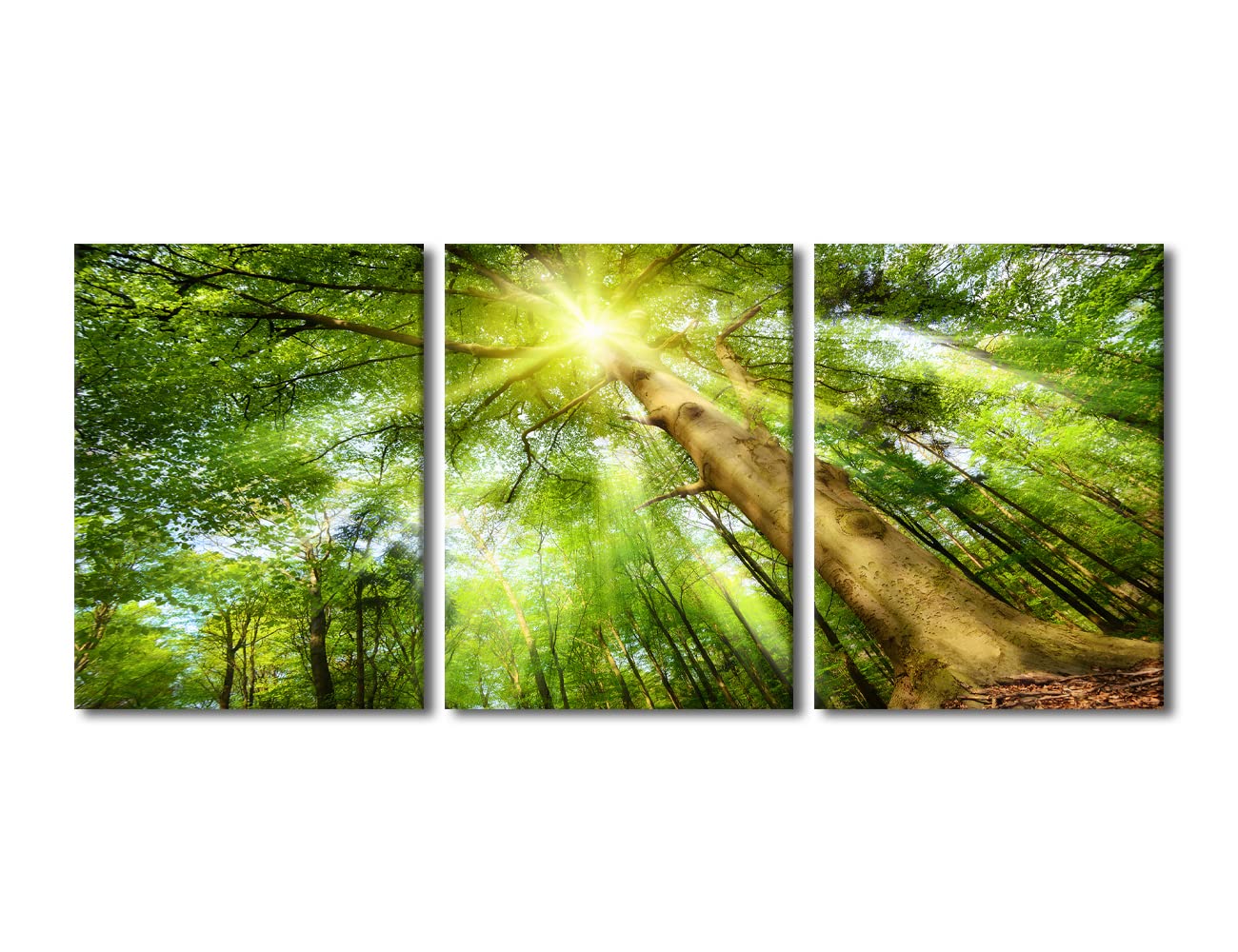 TUMOVO Framed Canvas Wall Art - Sunshine Forest Painting, Modern Print for Living Room, Bathroom & Home Decor (36x16 Inch) | Perfect for Adding Nature-Inspired Elegance to Your Space