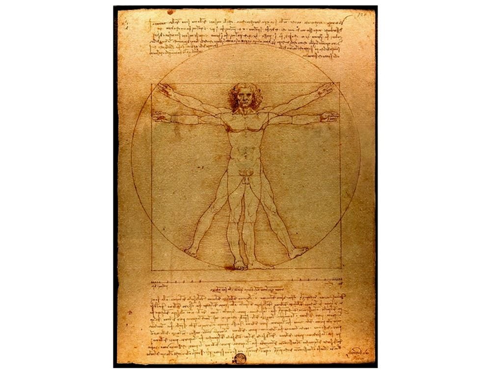 Alonline Art - The Vitruvian Man by Leonardo Da Vinci | Premium Canvas Print | Ready to Frame (31