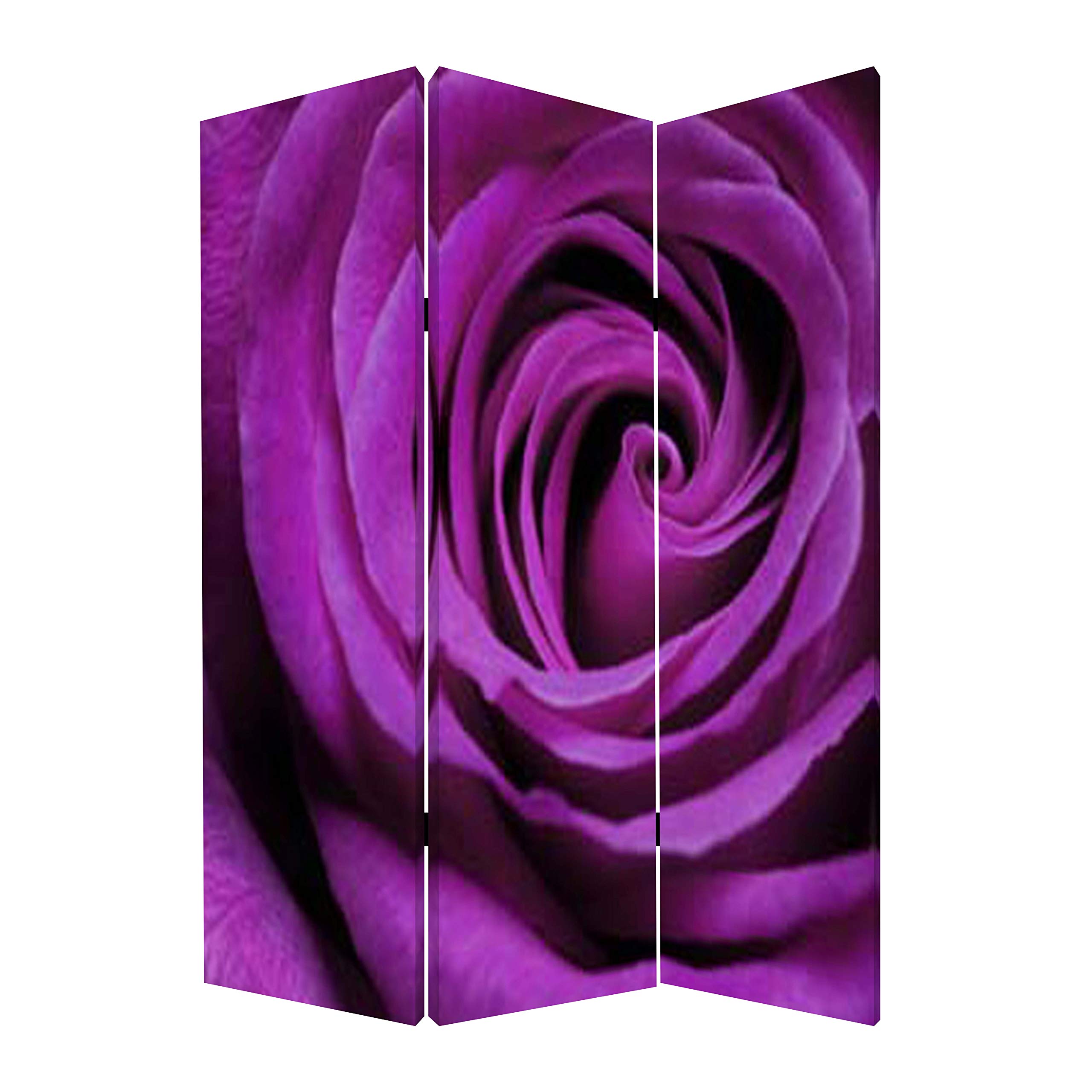 Screen Gems Flourish Room Divider - Decorative Folding Partition for Home & Office - Perfect for Privacy, Space Division & Interior Design