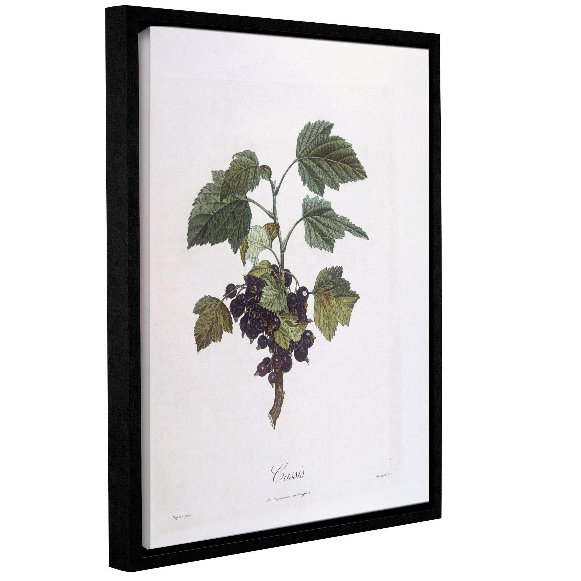 Pierre Jean Francois Pturpin 'Blackcurrant' Floater-Framed Canvas Wall Art - 36x48 Inches Gallery Wrapped - Elegant Home Decor for Living Room, Bedroom & Office