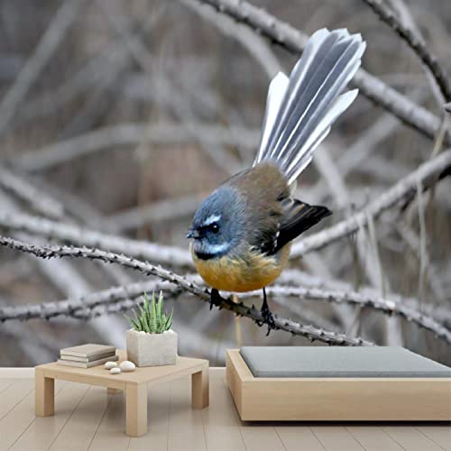 3D Peel and Stick Bird Wallpaper - Self-Adhesive PVC Wall Mural for Bedroom & Study Room Decor - 78
